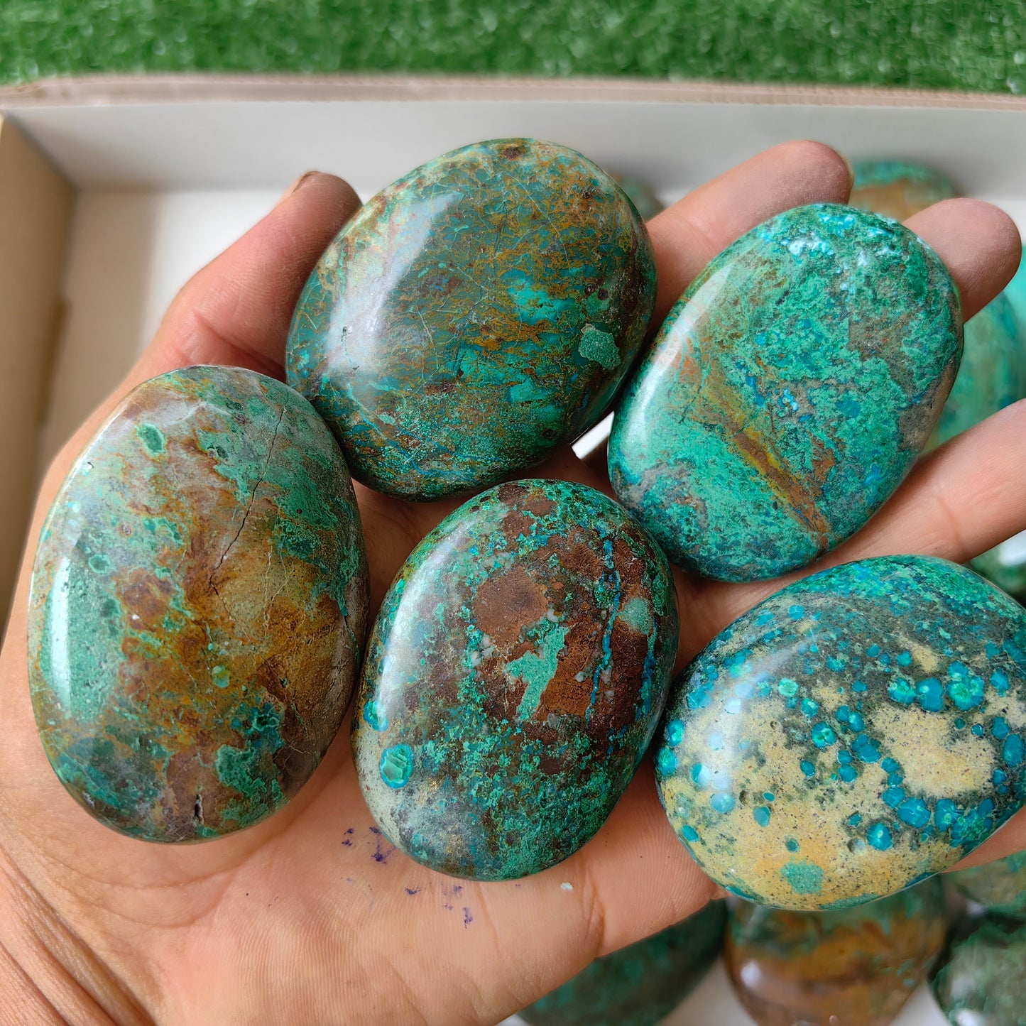 26 pc malachite palms