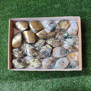 24 pc chrysocolla quartz, serpentine & chalcopyrite flames