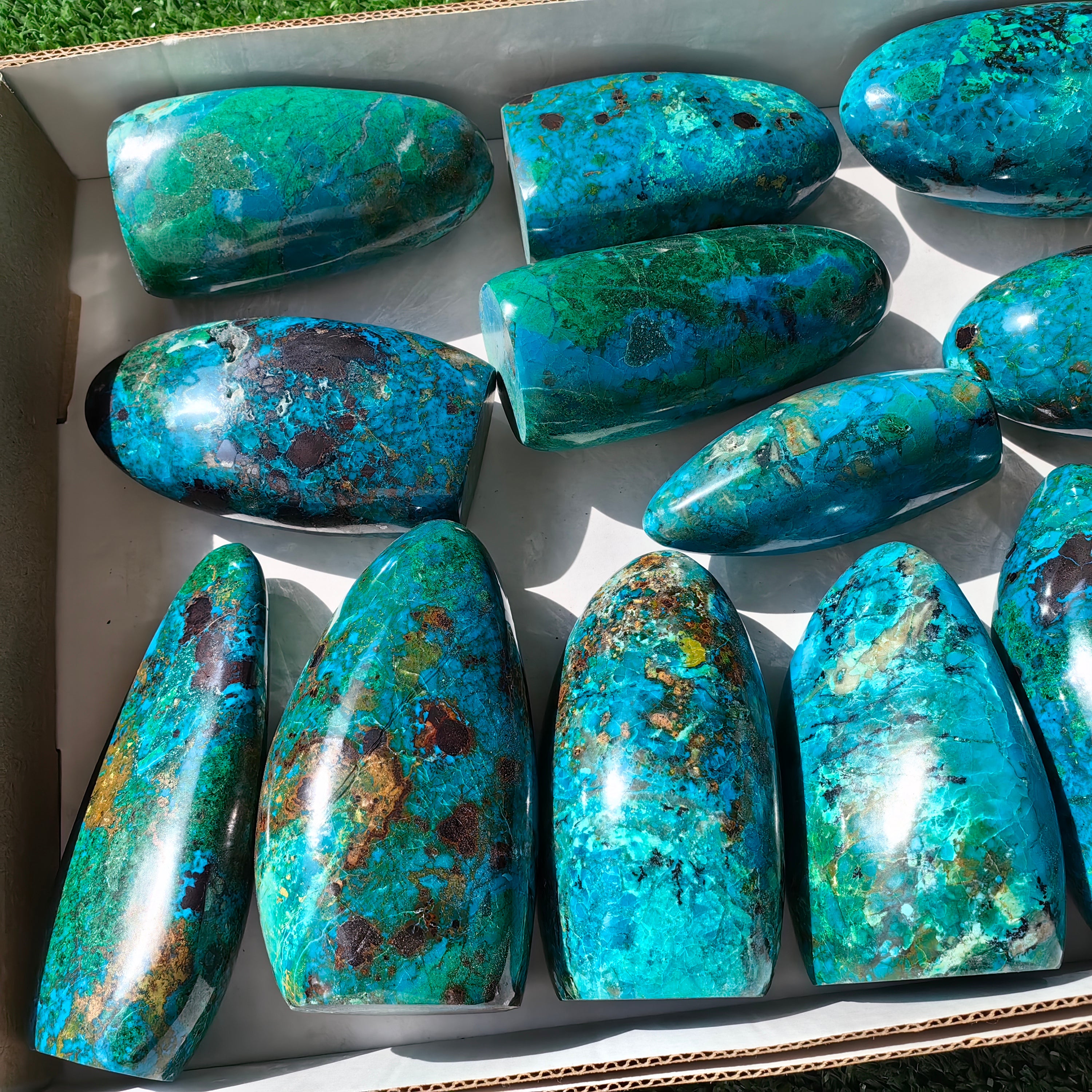 13 pc chrysocolla free forms