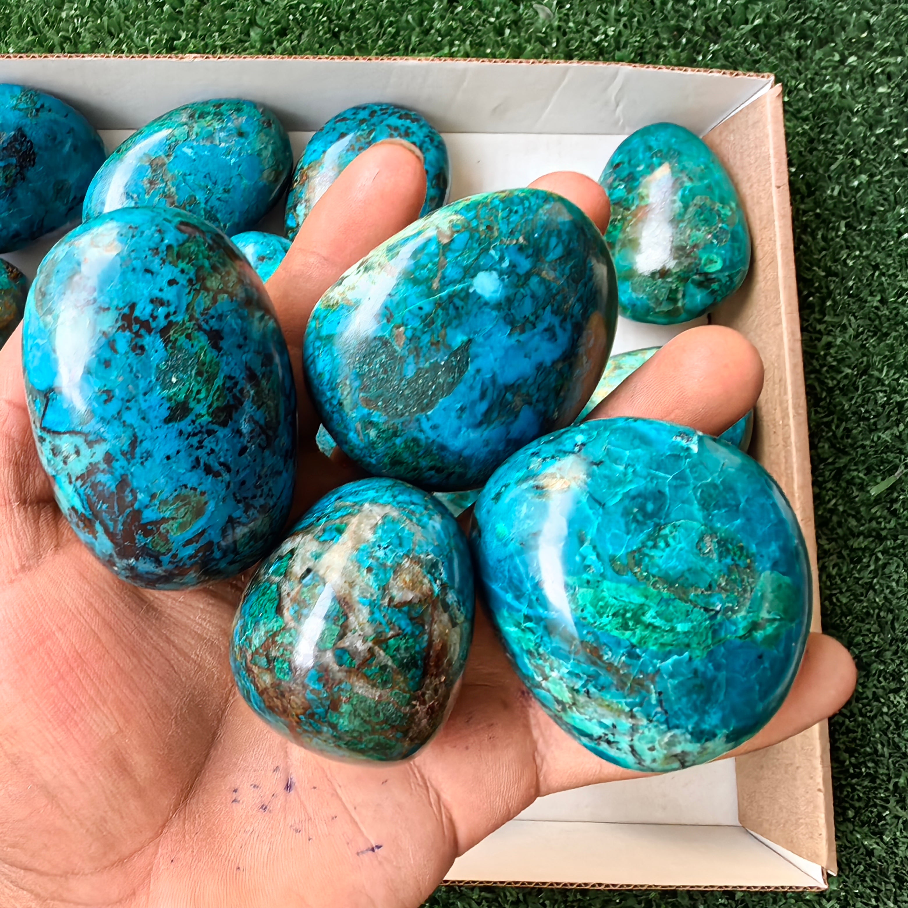 26 pc chrysocolla free forms