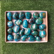 24 pc chrysocolla free forms