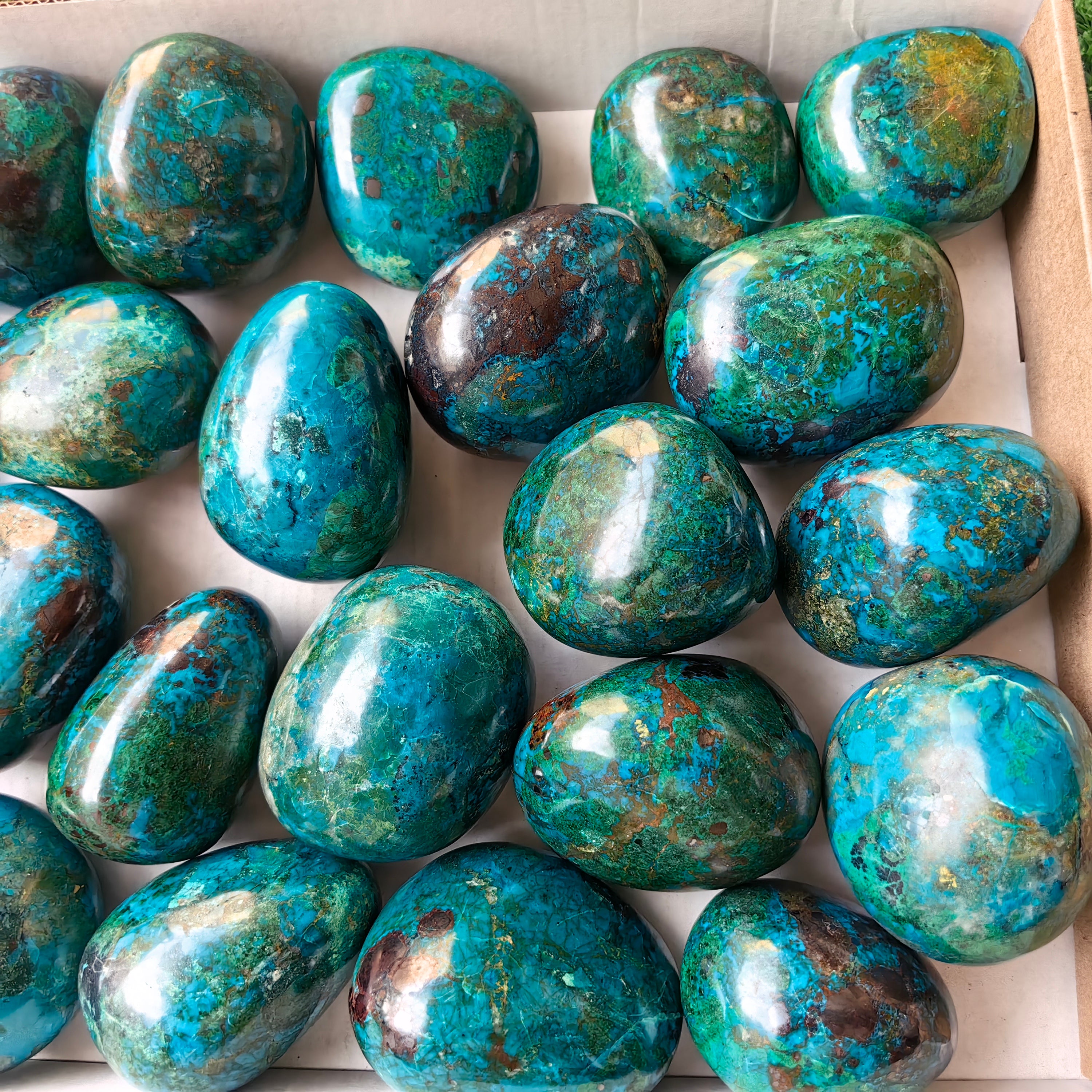 24 pc chrysocolla free forms
