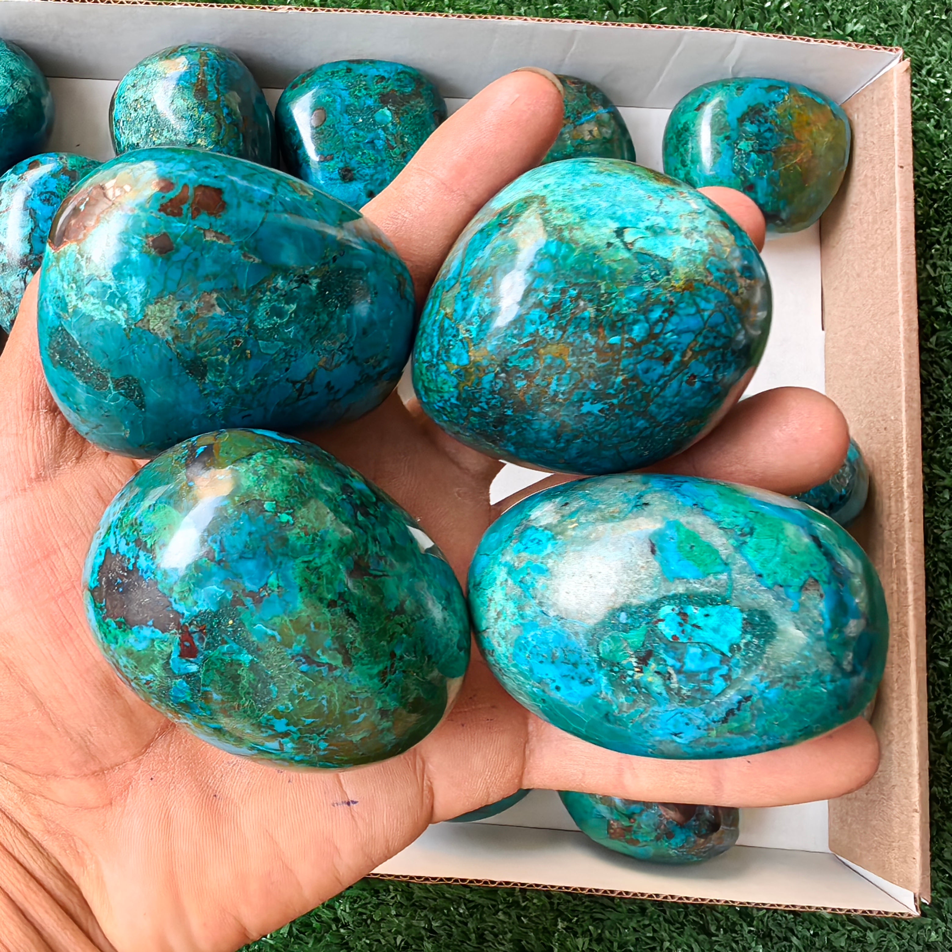 24 pc chrysocolla free forms