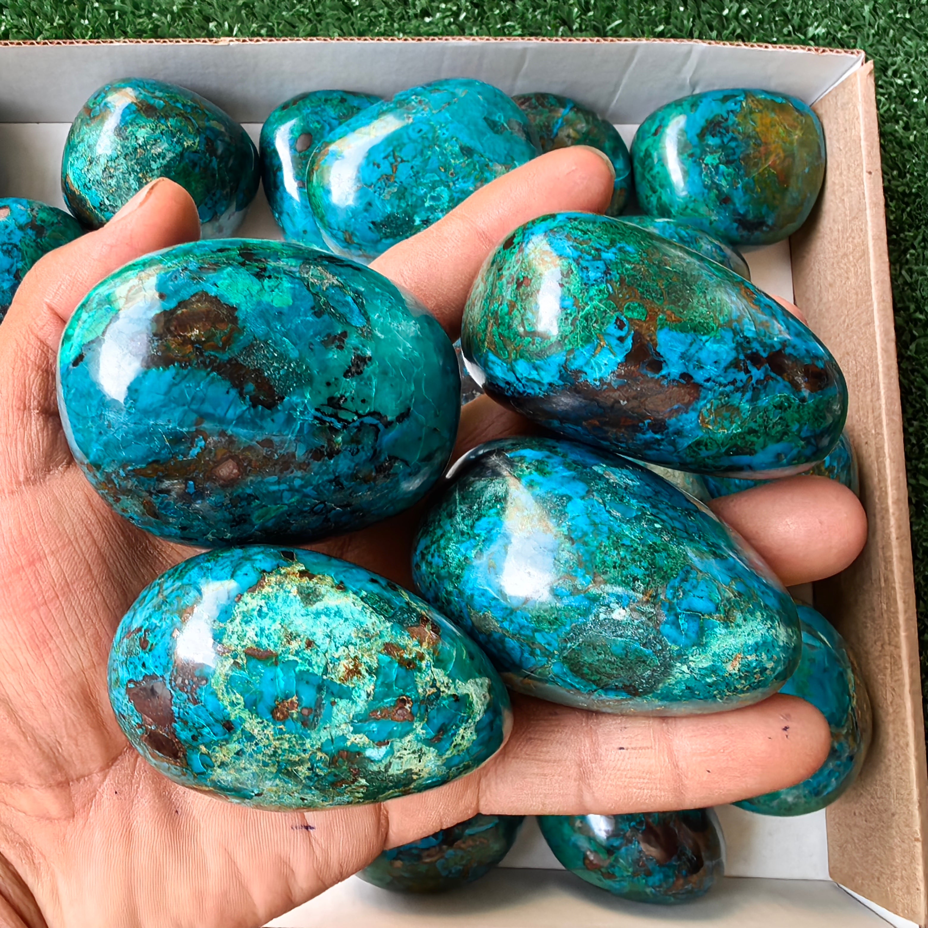 24 pc chrysocolla free forms