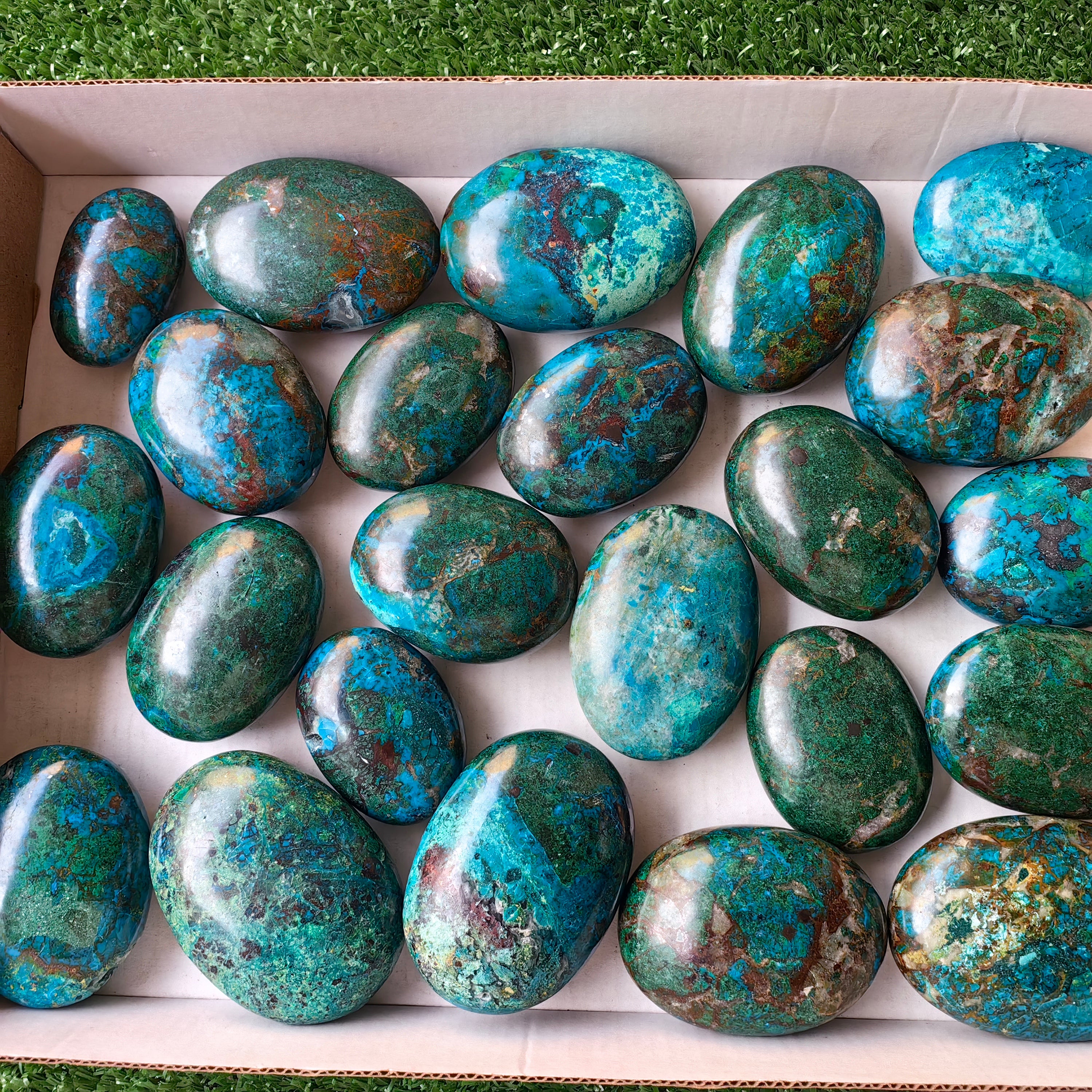 23 pc chrysocolla palms