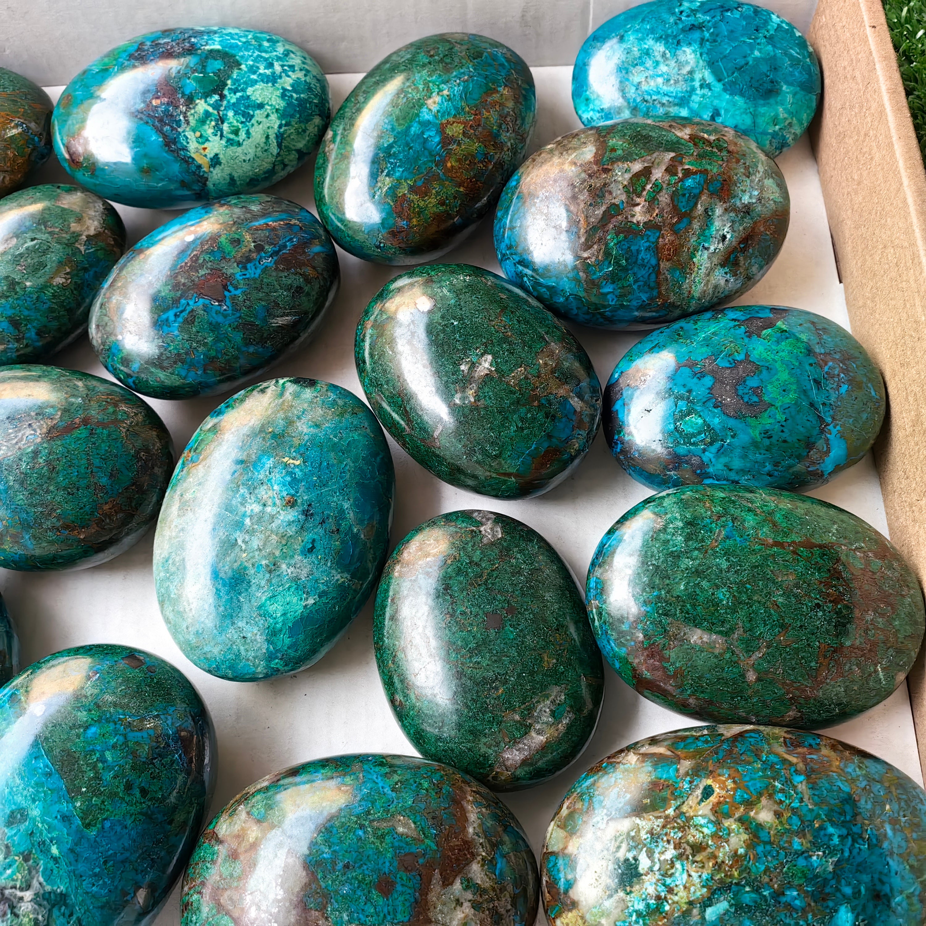 23 pc chrysocolla palms