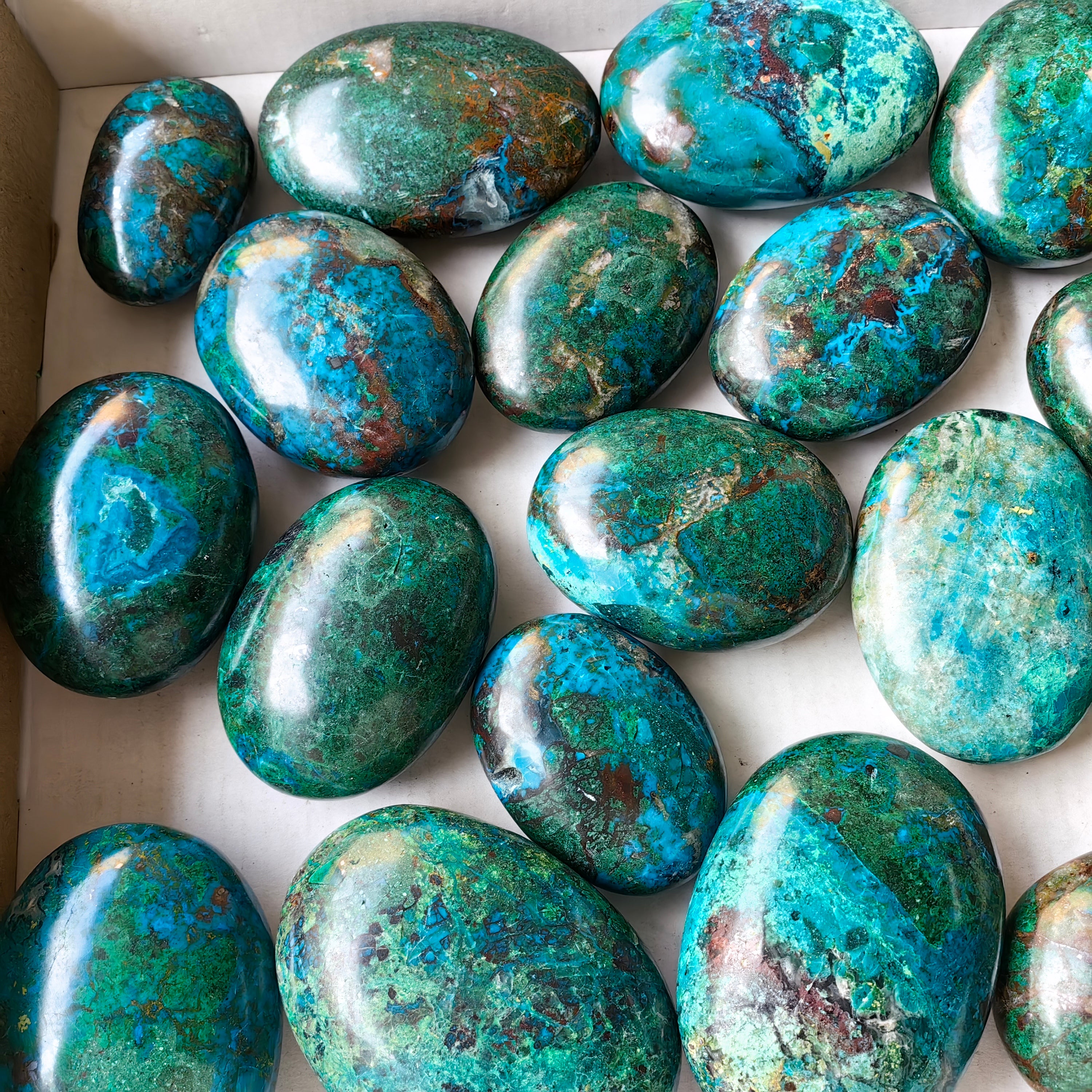 23 pc chrysocolla palms