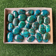 25 pc chrysocolla palms