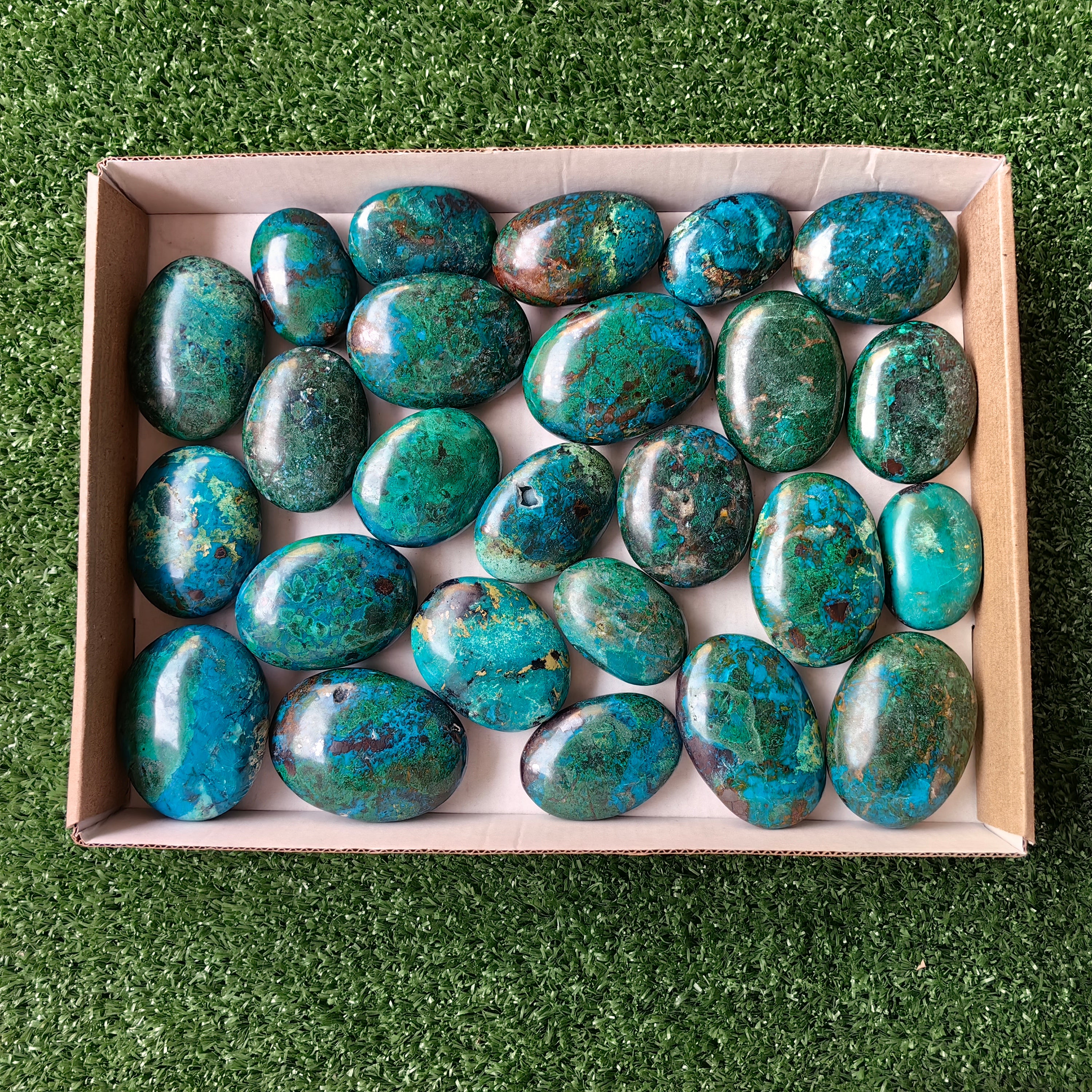 25 pc chrysocolla palms