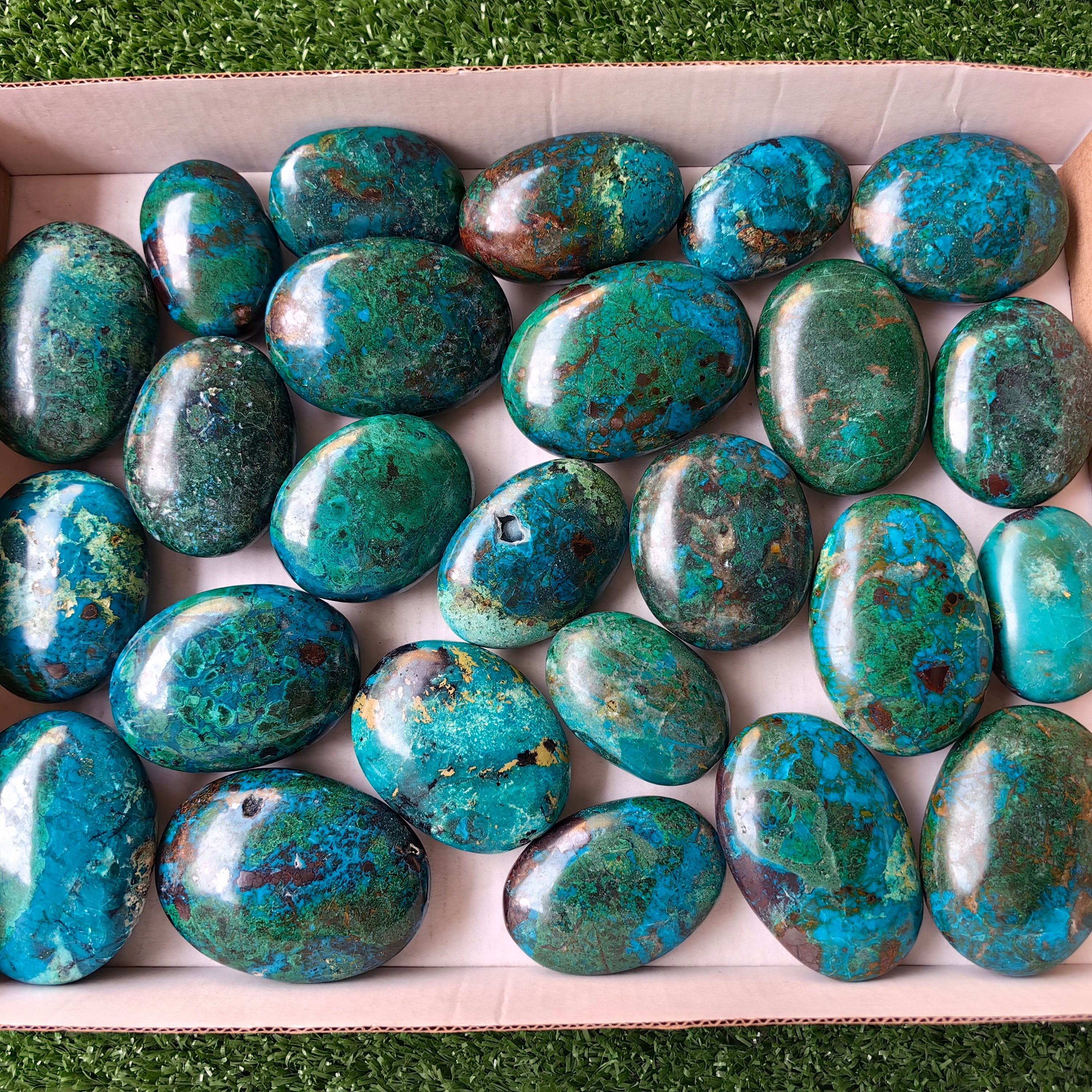 25 pc chrysocolla palms