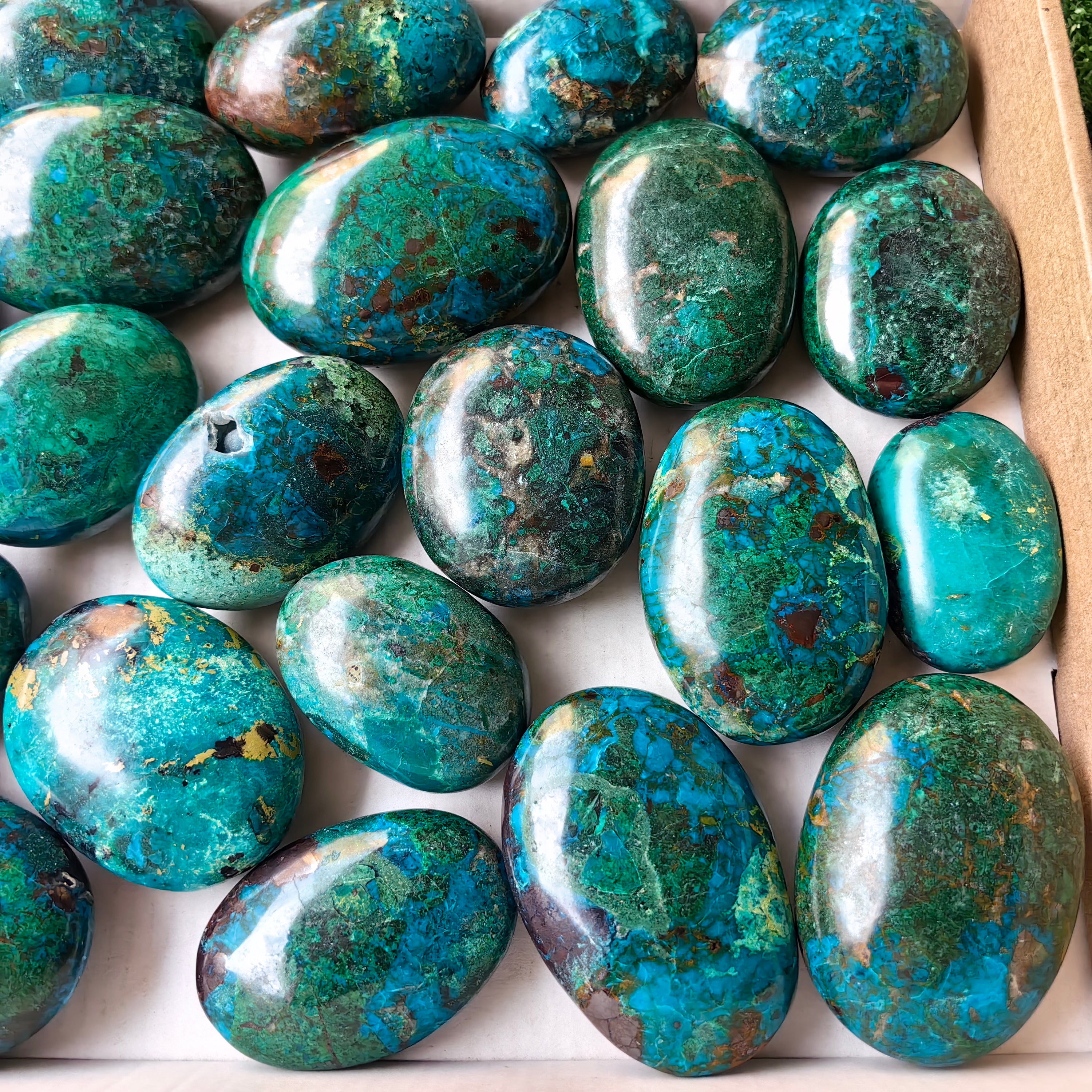 25 pc chrysocolla palms
