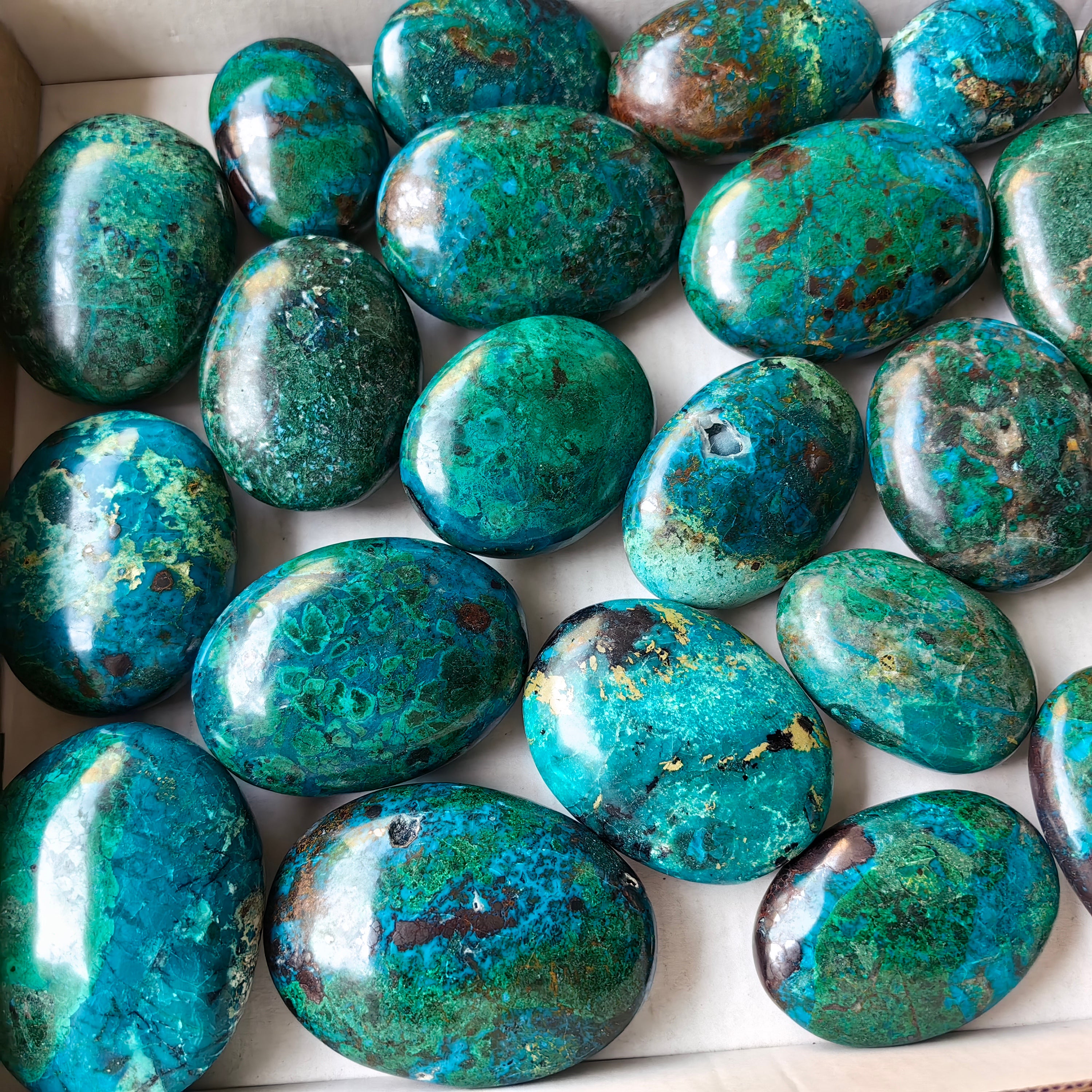 25 pc chrysocolla palms