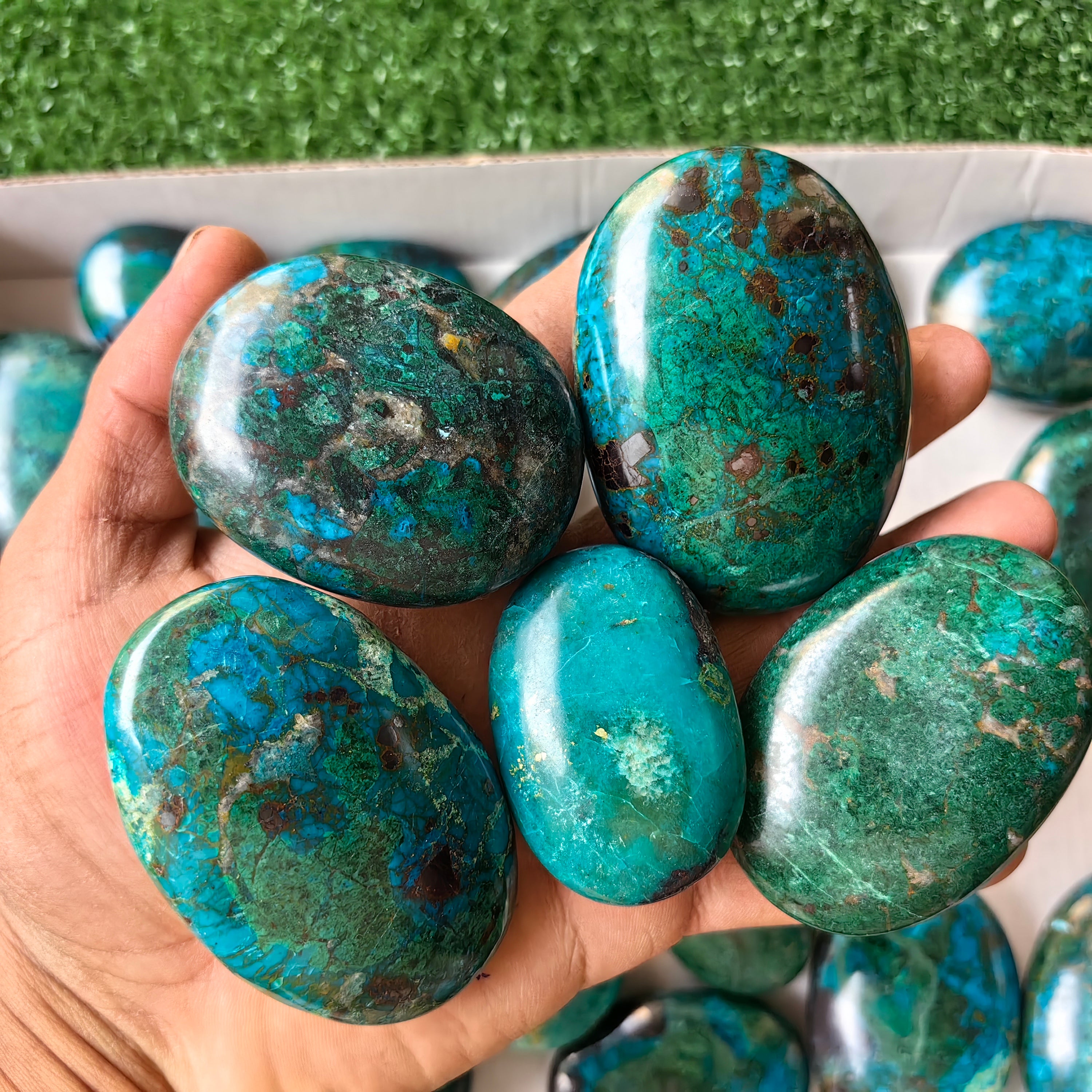 25 pc chrysocolla palms