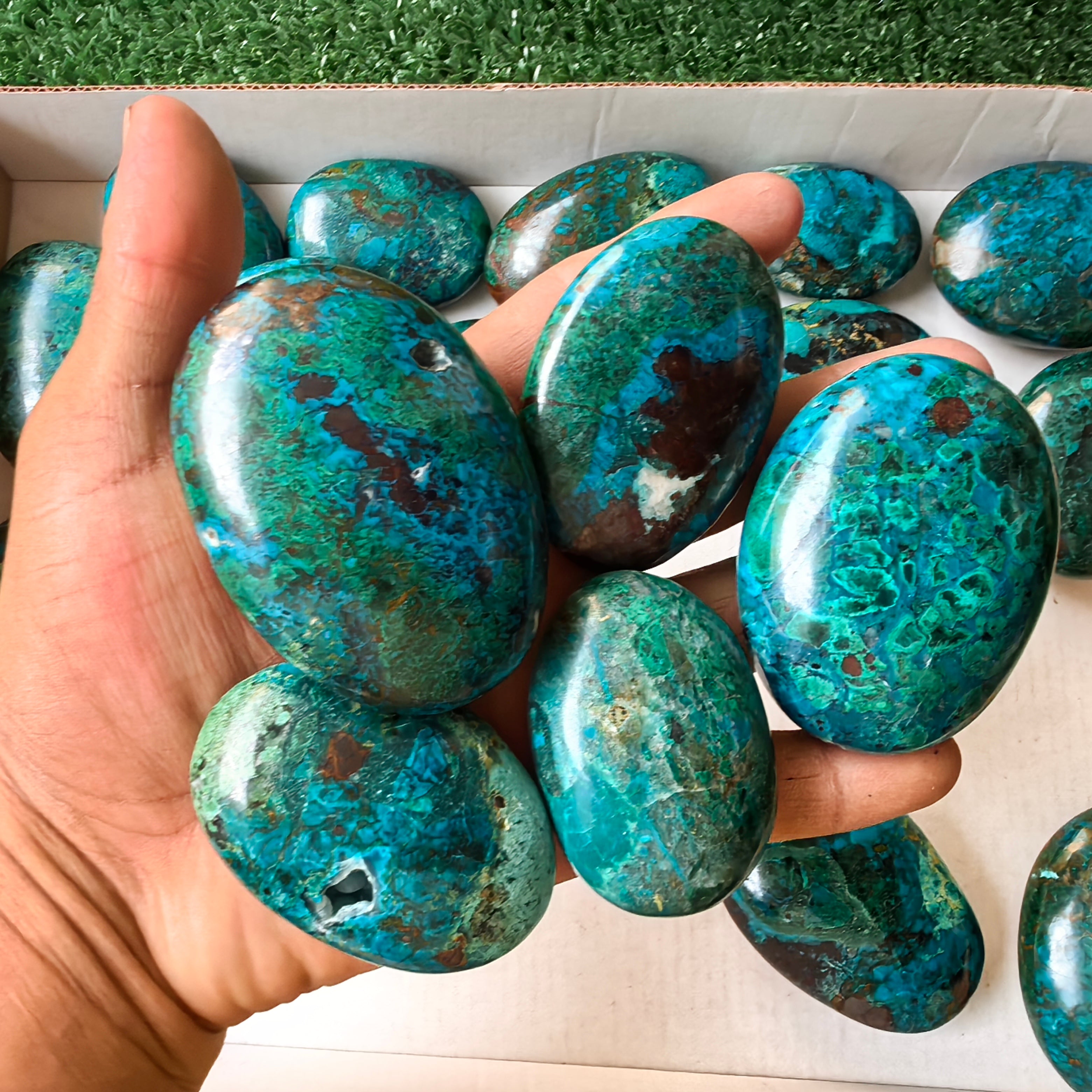 25 pc chrysocolla palms