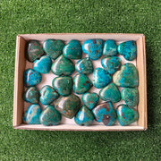 26 pc chrysocolla hearts
