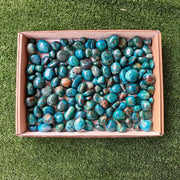 2 kg tumbled chrysocolla