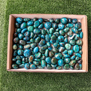 2 kg tumbled chrysocolla