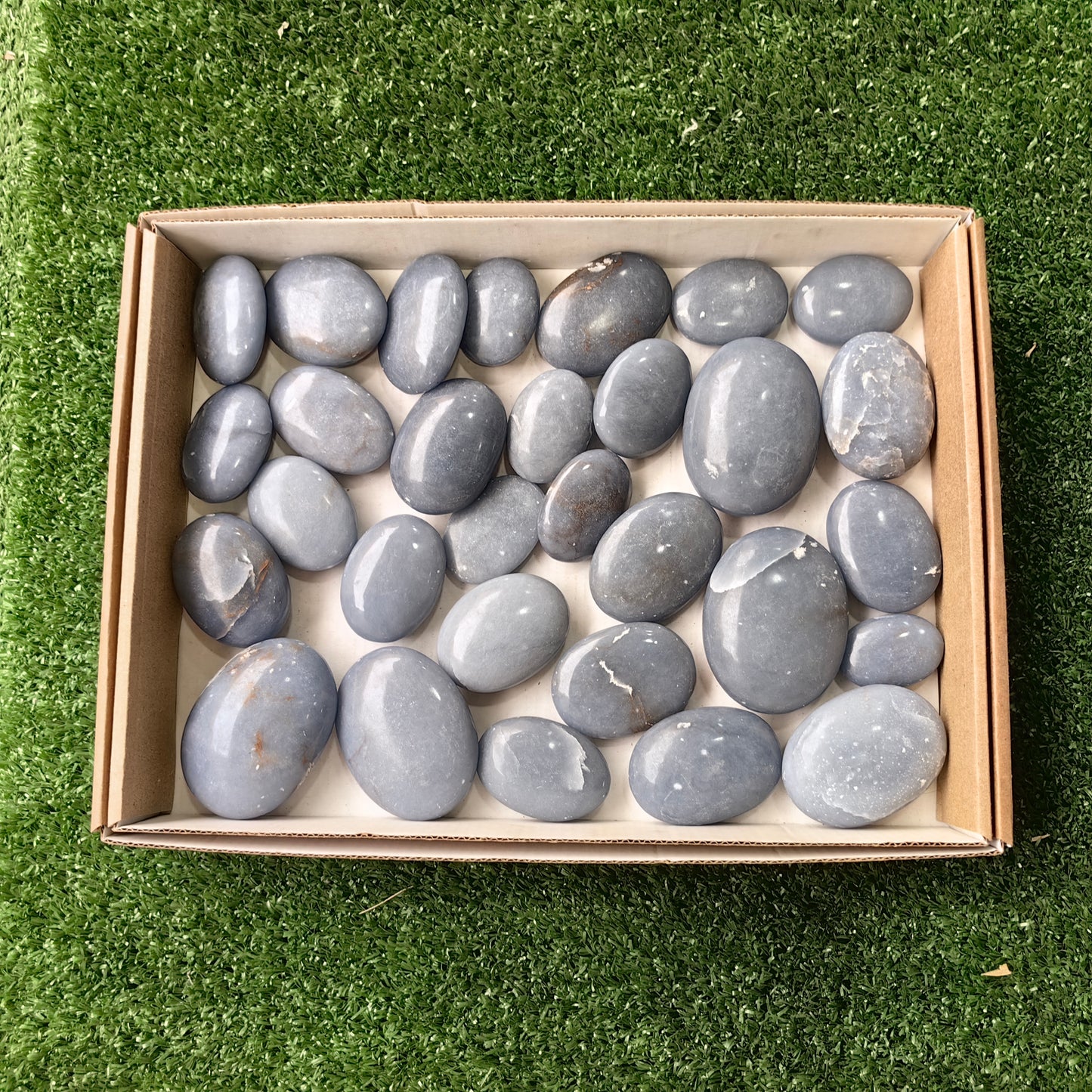 30 pc angelite palms