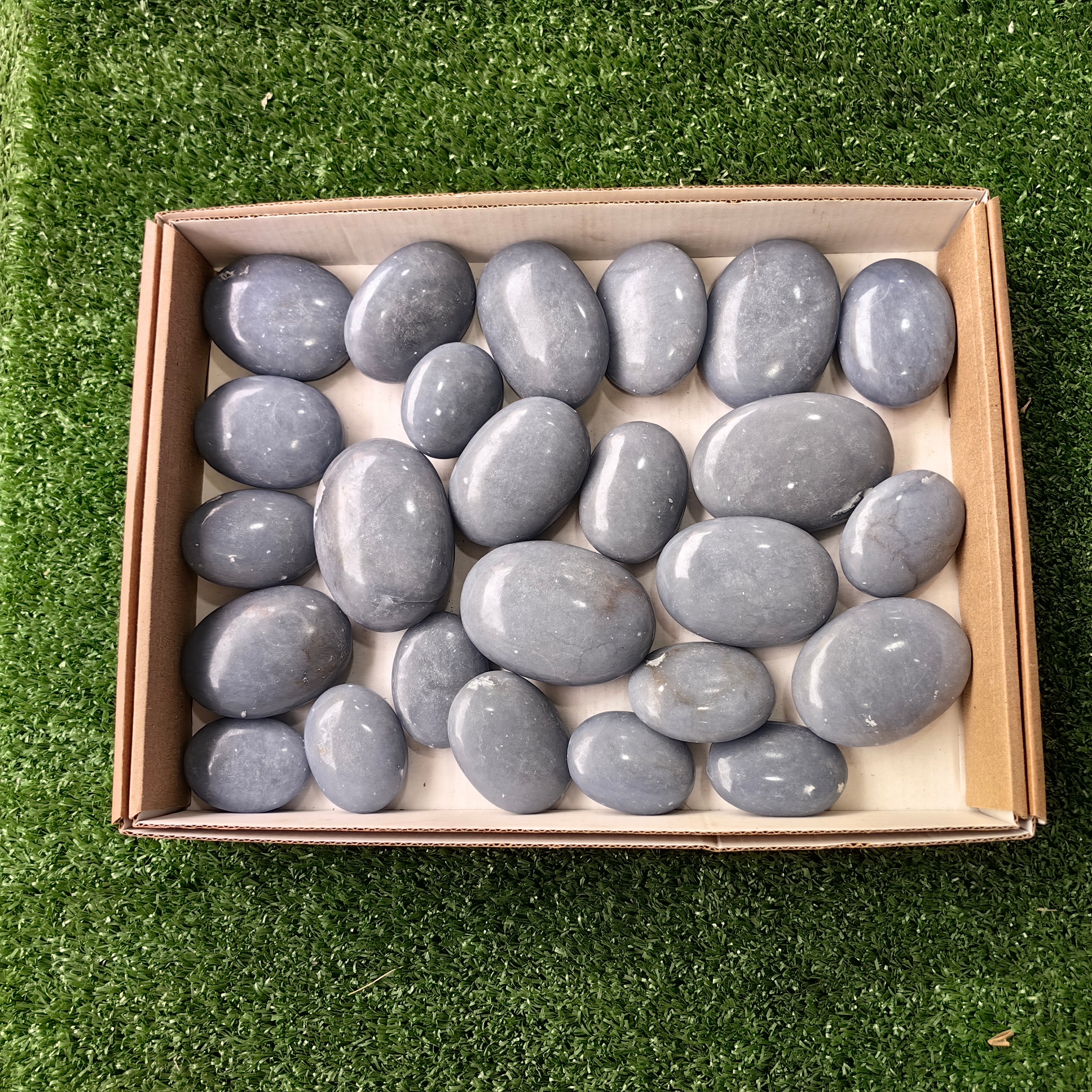 25 pc angelite palms