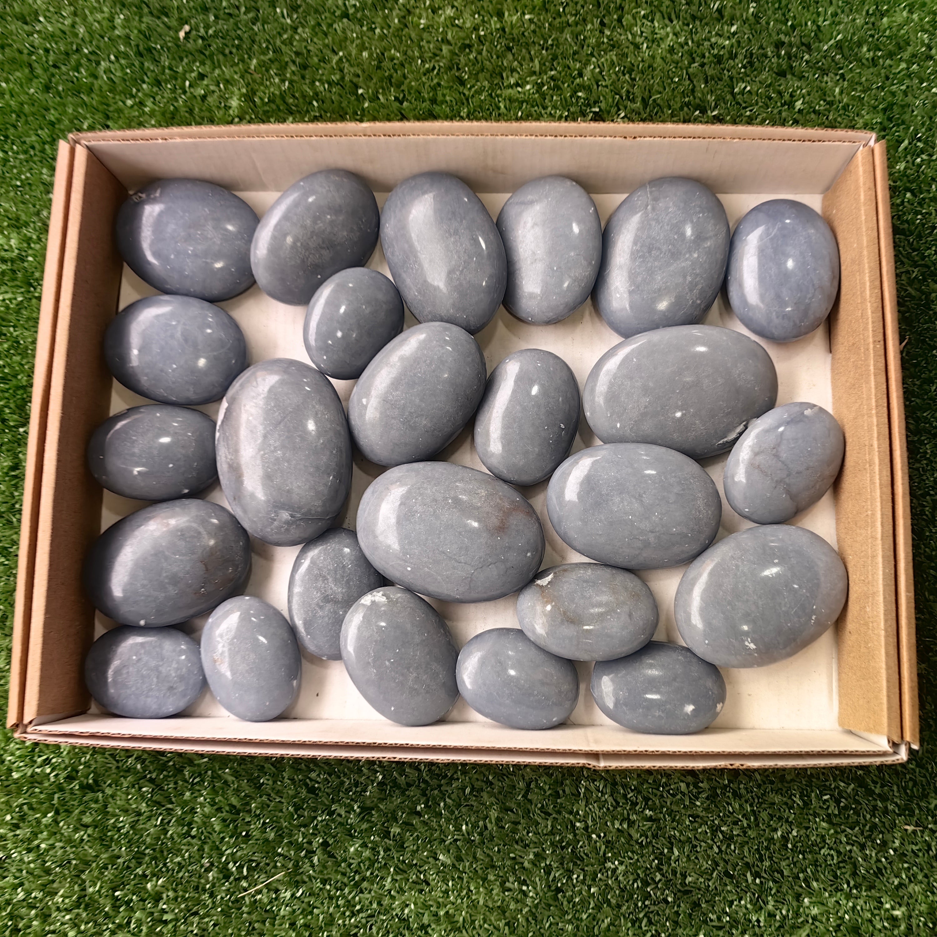 25 pc angelite palms