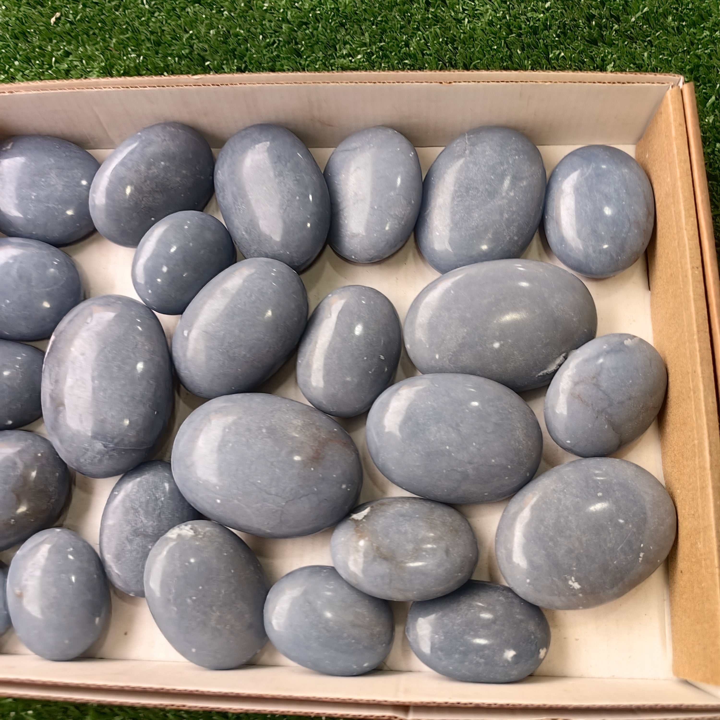 25 pc angelite palms
