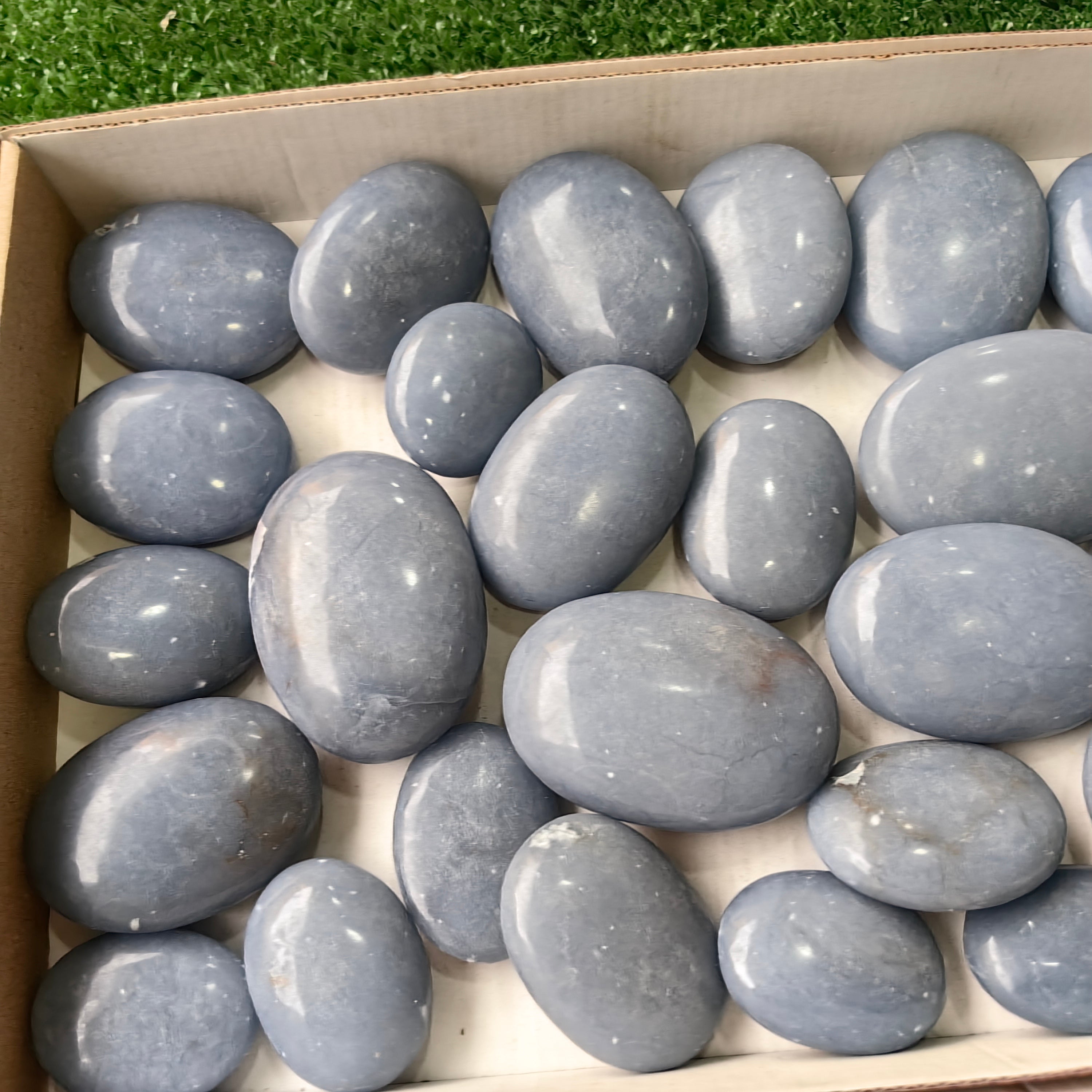 25 pc angelite palms