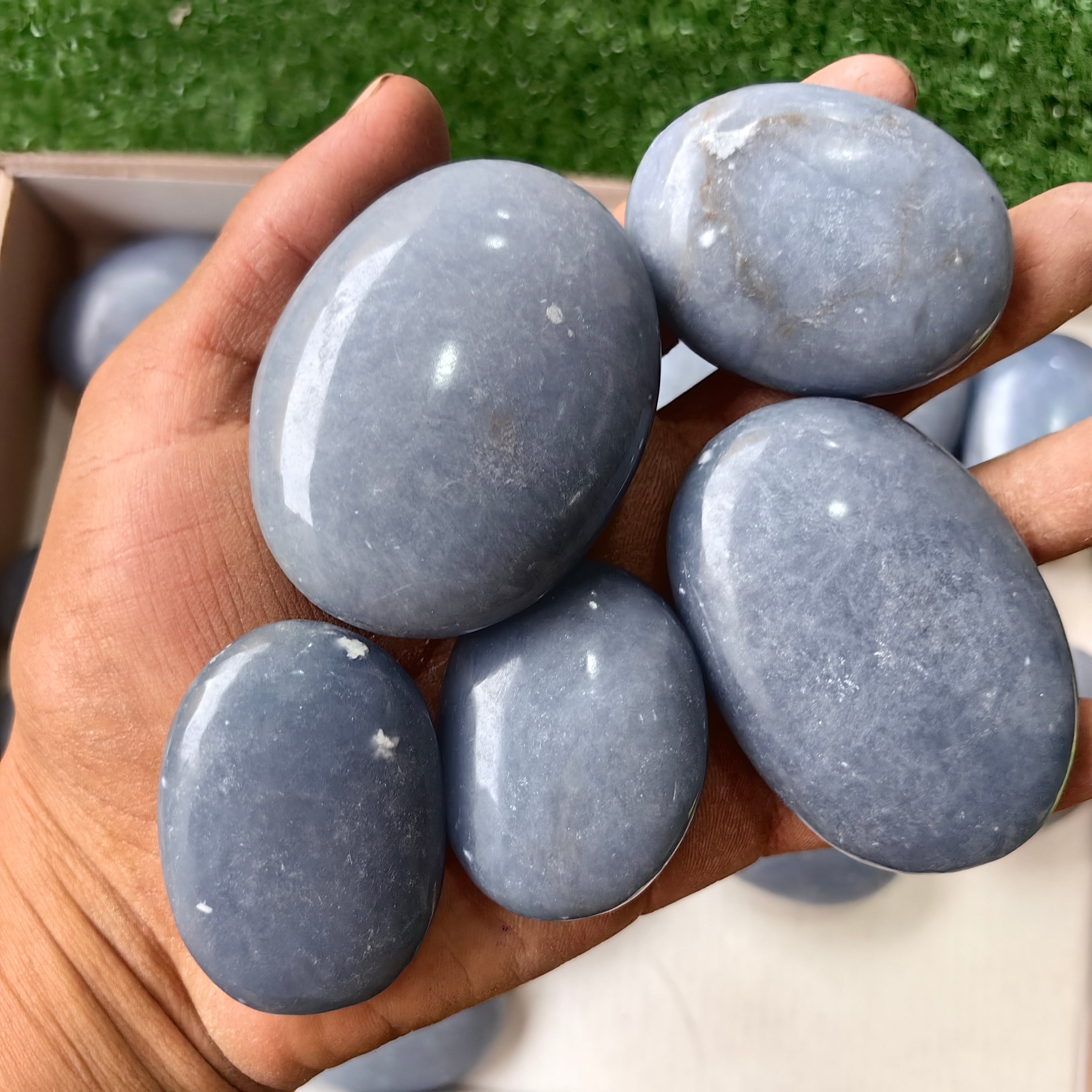 25 pc angelite palms