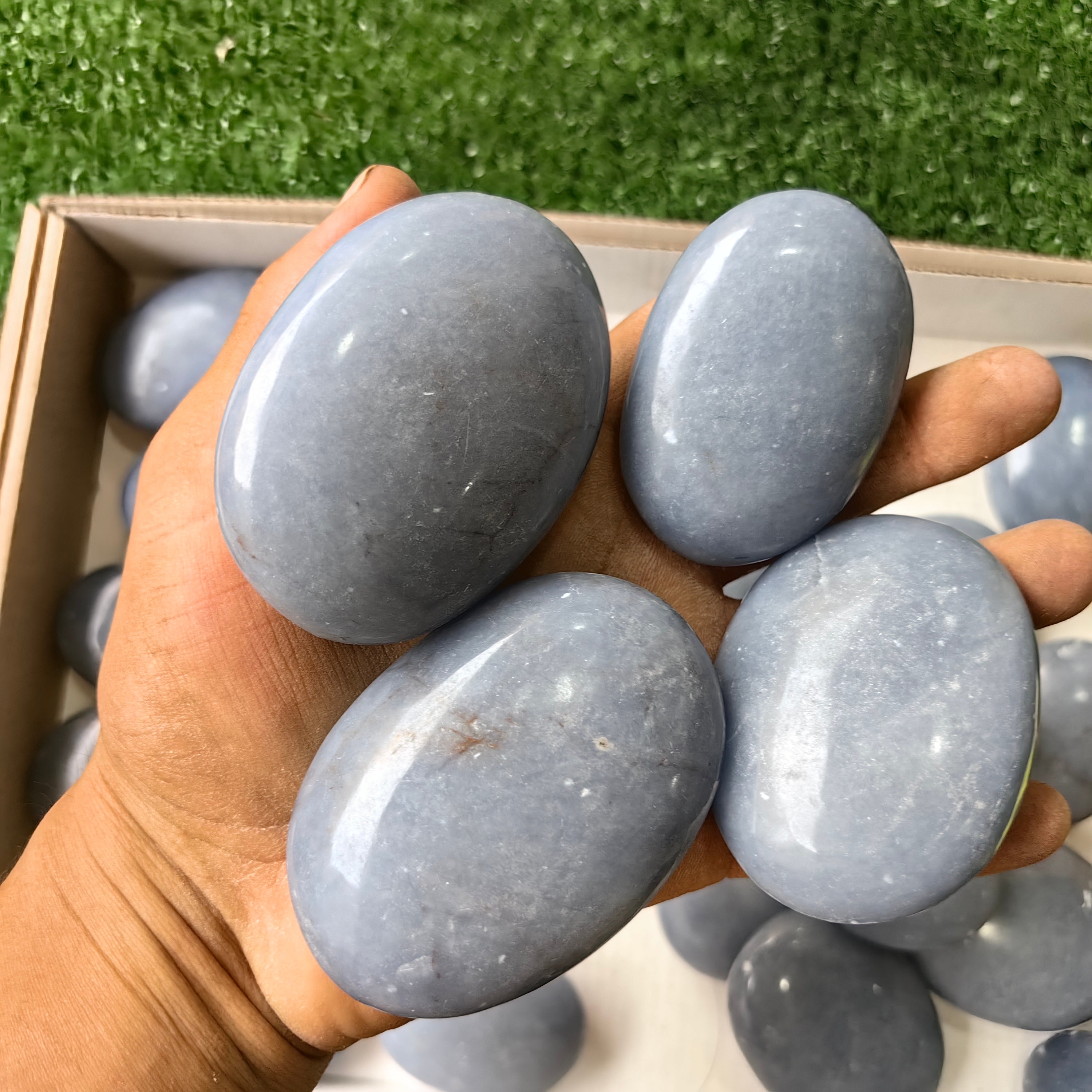 25 pc angelite palms