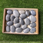 21 pc angelite palms