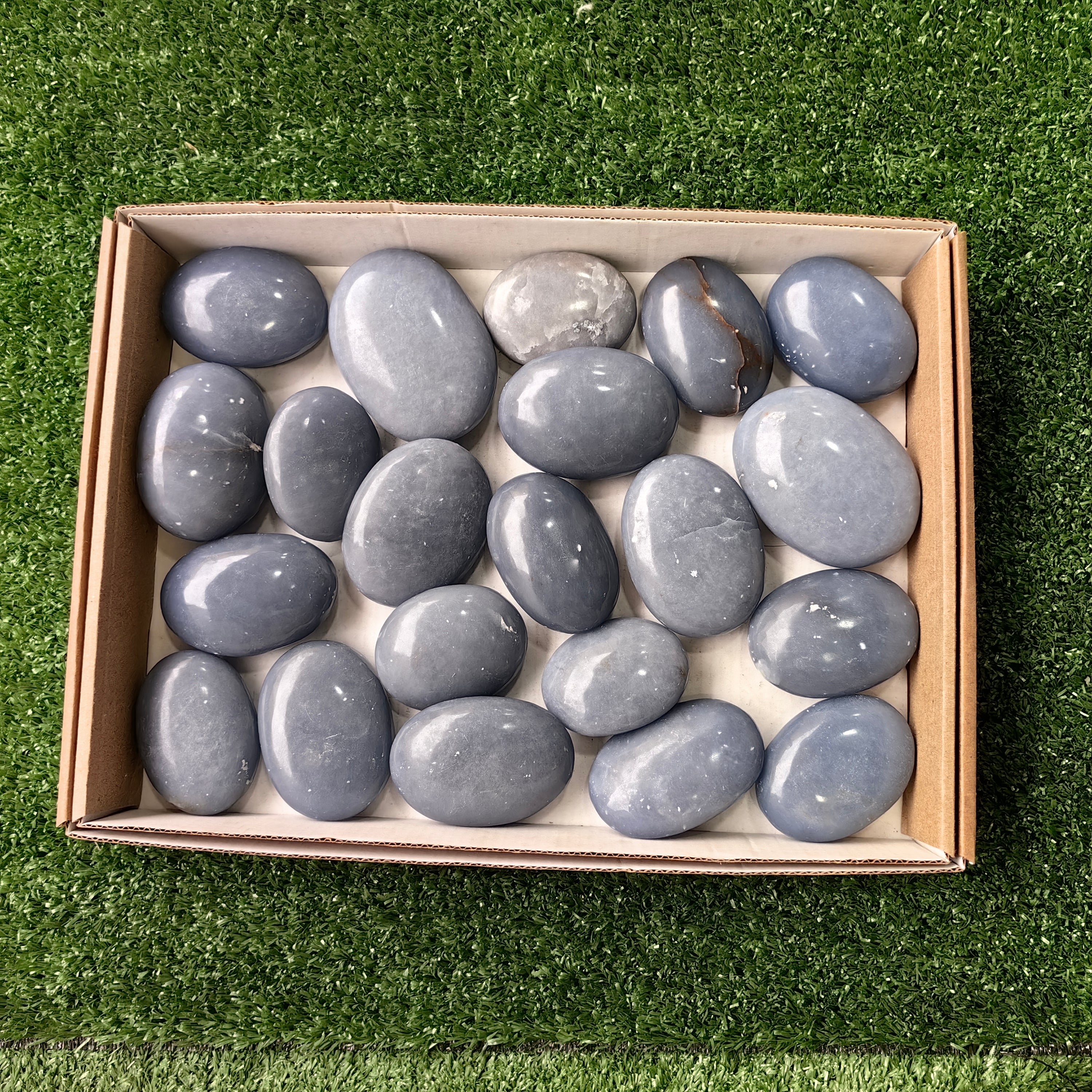 21 pc angelite palms