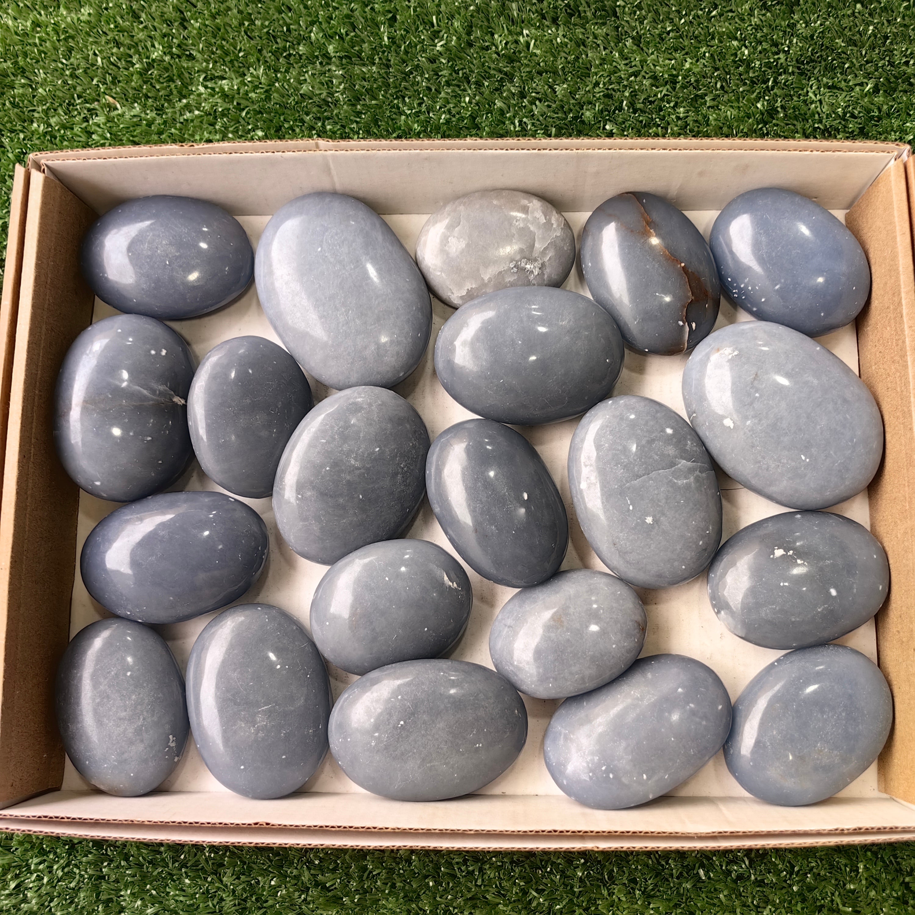 21 pc angelite palms