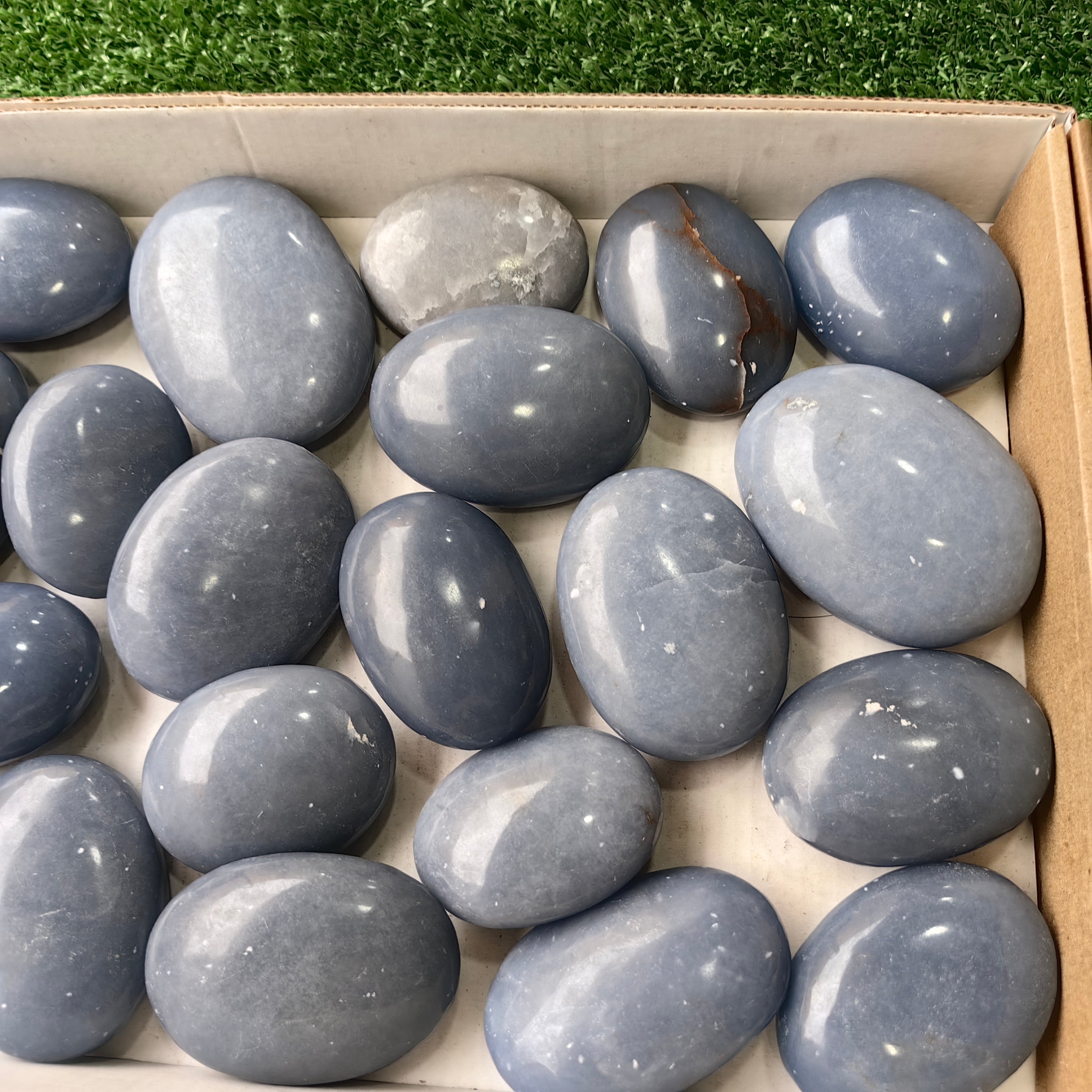 21 pc angelite palms