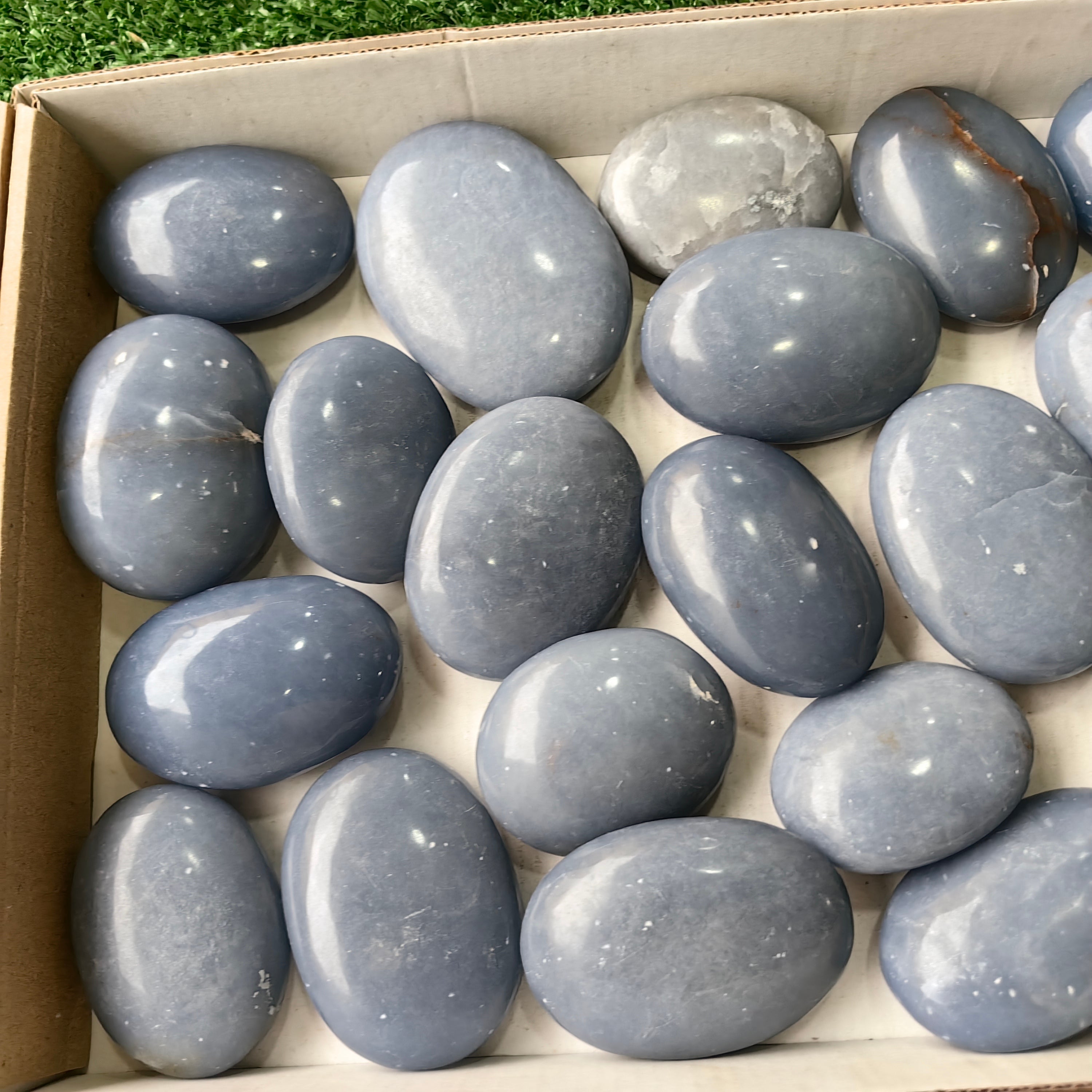 21 pc angelite palms