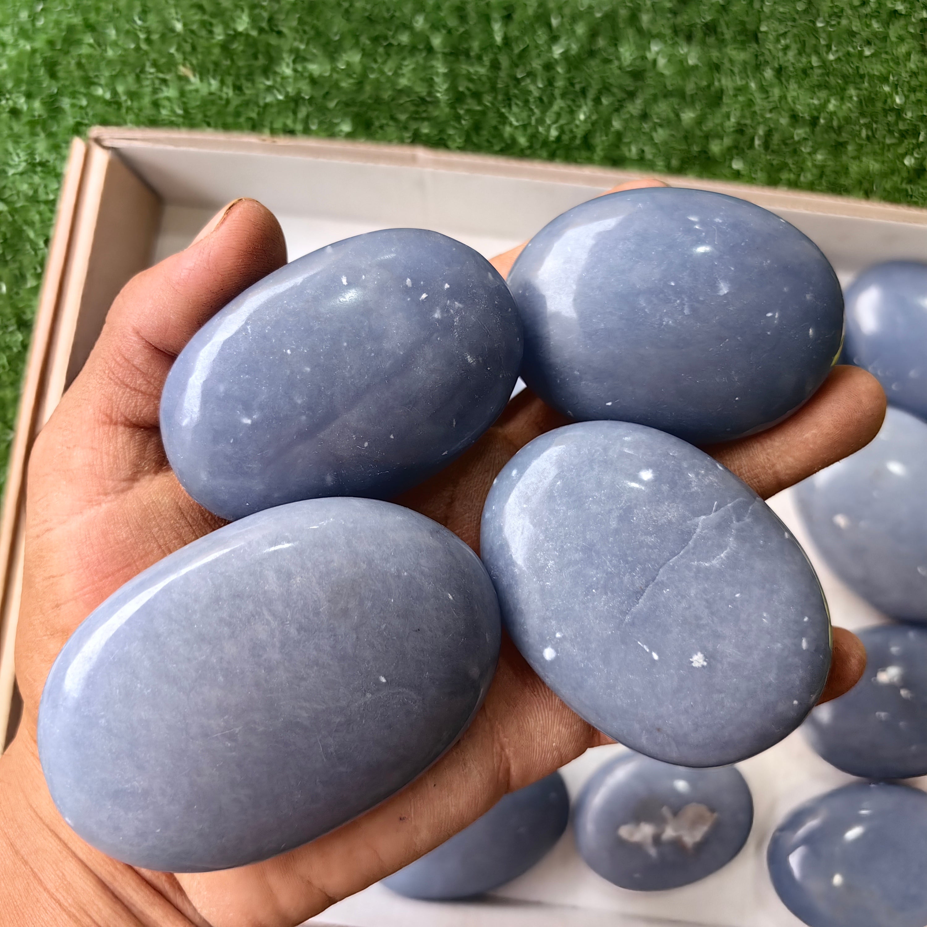 21 pc angelite palms