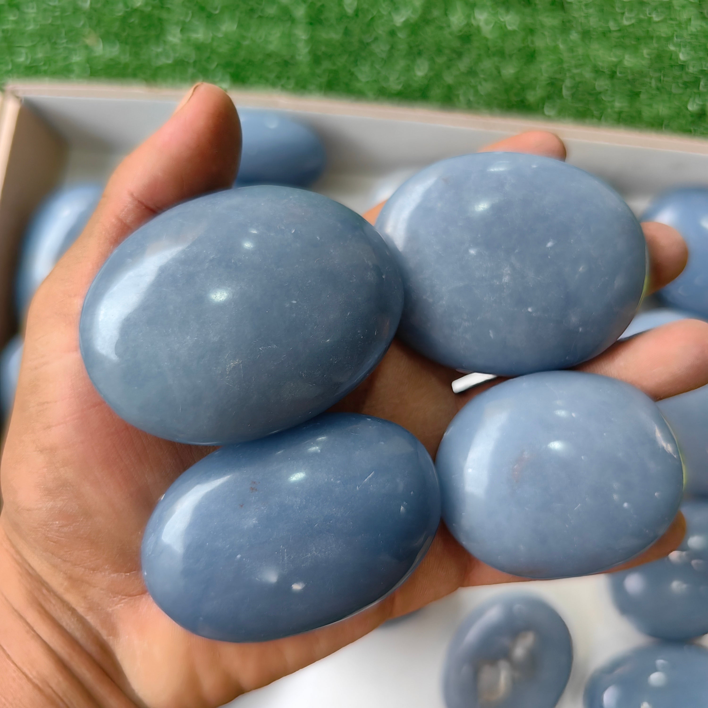 21 pc angelite palms