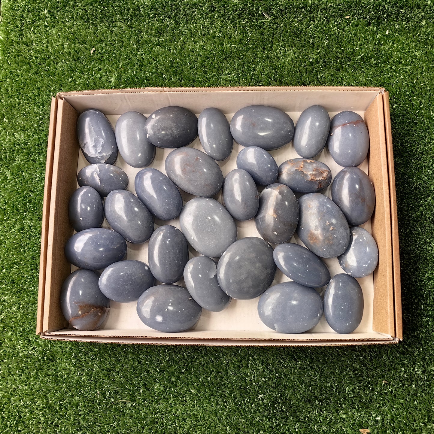 30 pc angelite palms