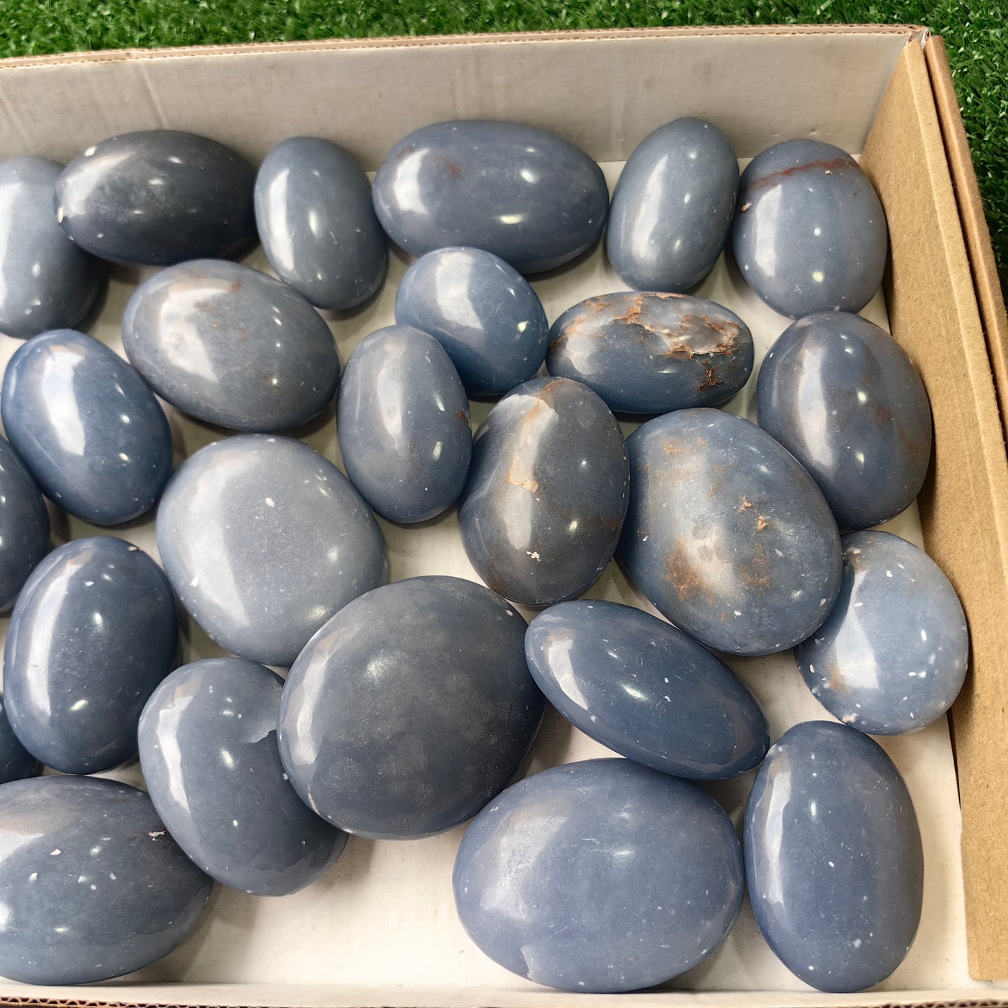 30 pc angelite palms