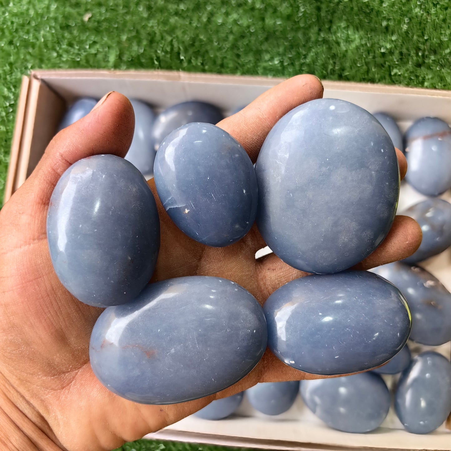 30 pc angelite palms