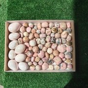 2.7 kg rhodonite tumbled & mangano egg