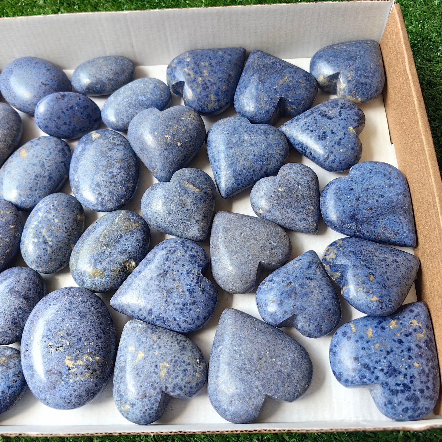 35 pc dumortorite palm & heart