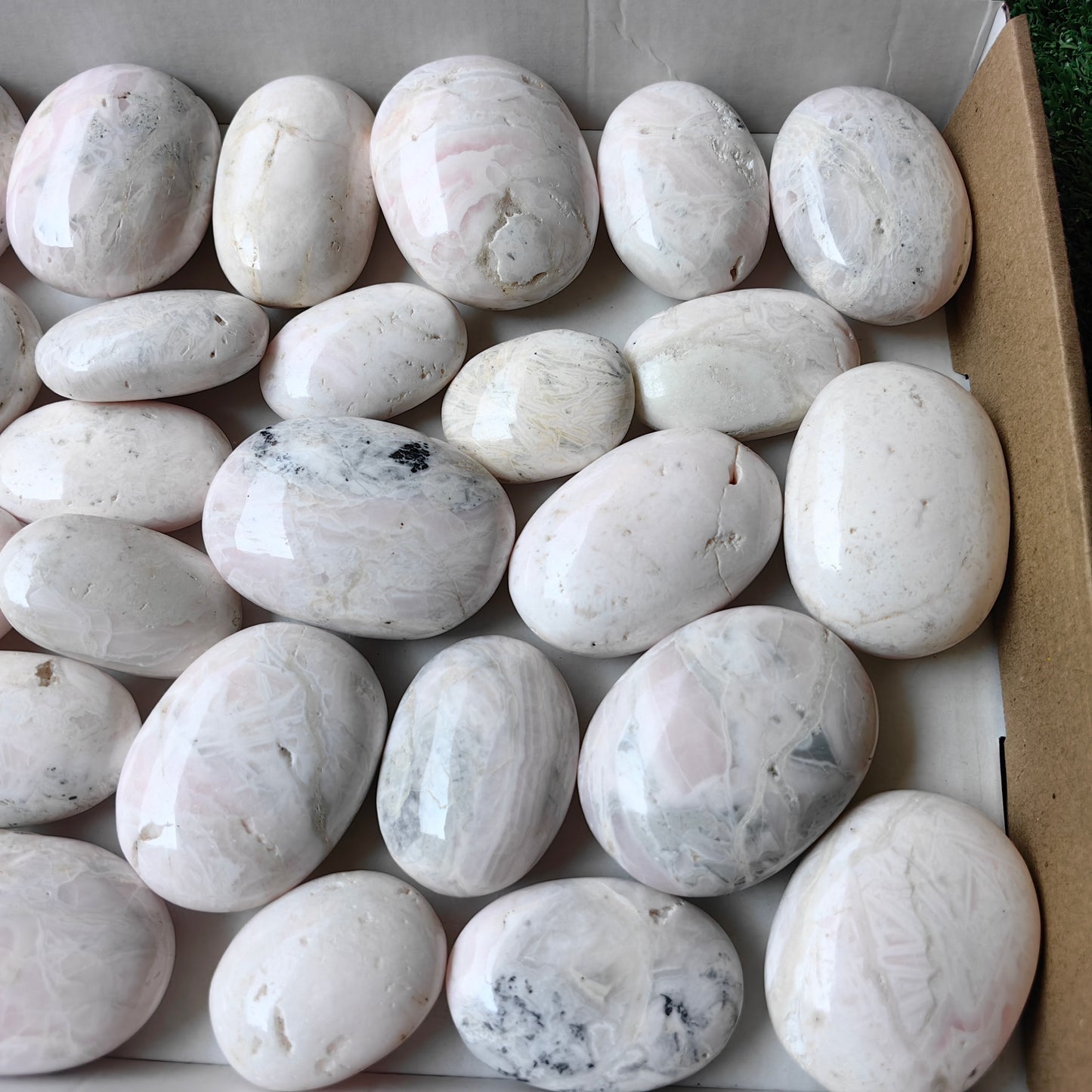 31 pc mangano calcite palms