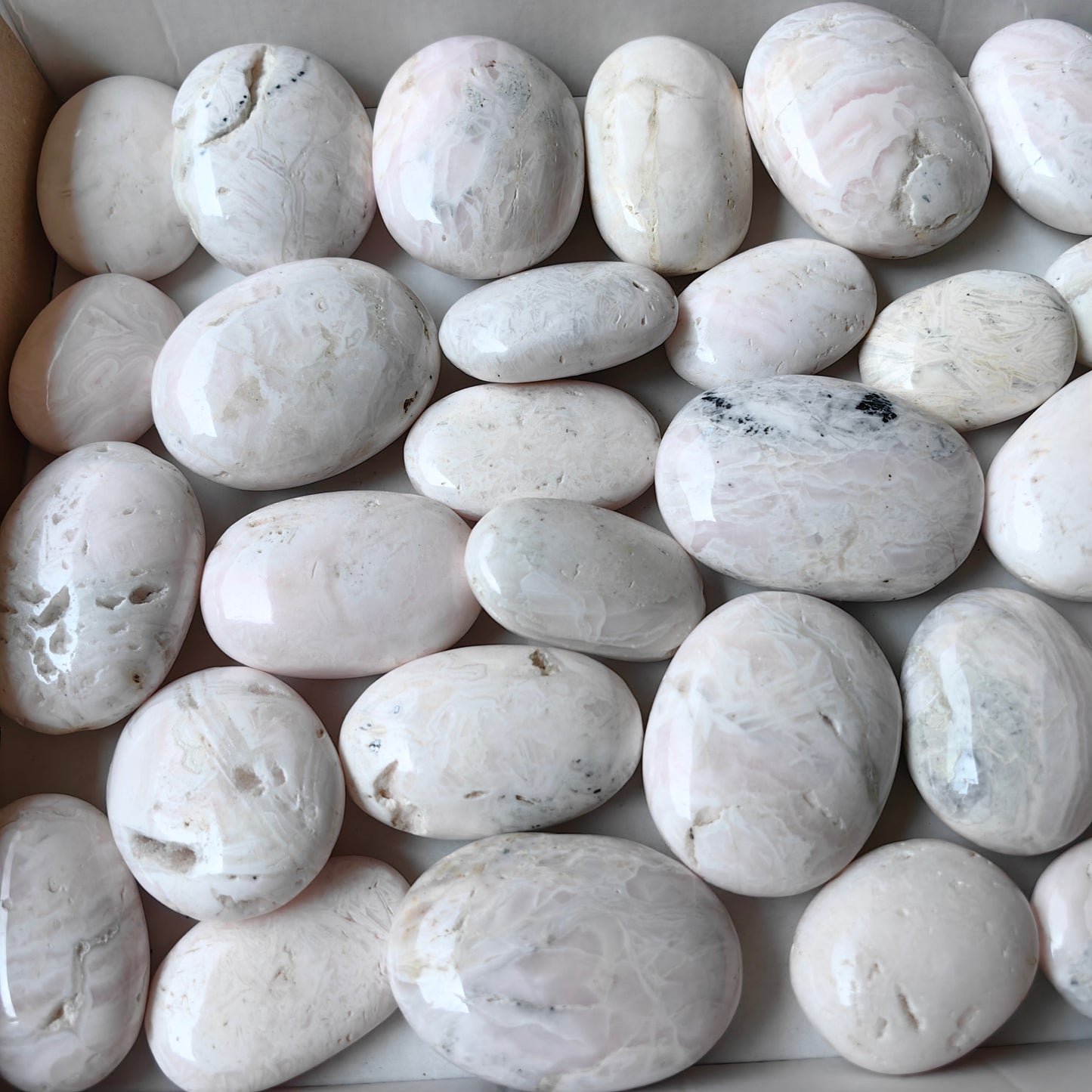 31 pc mangano calcite palms