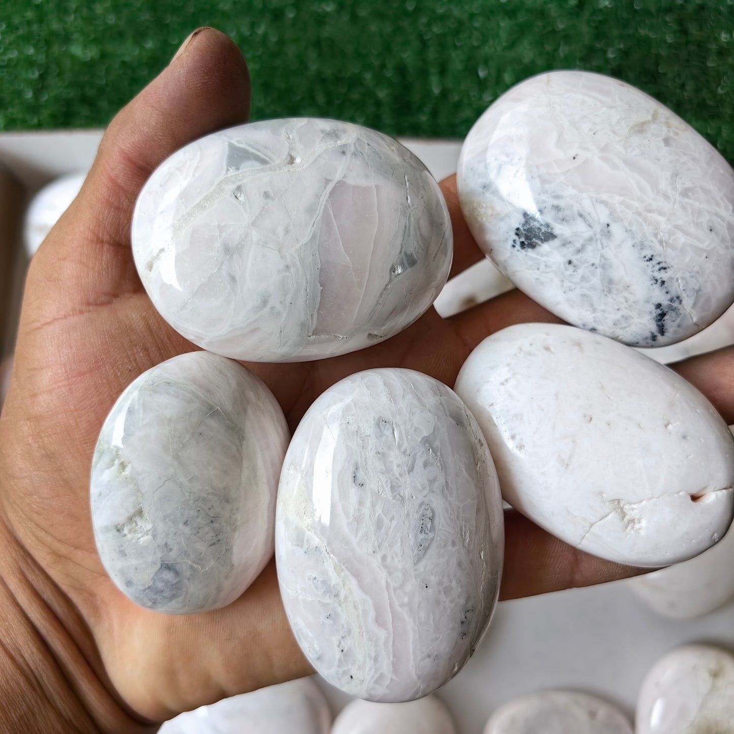 31 pc mangano calcite palms