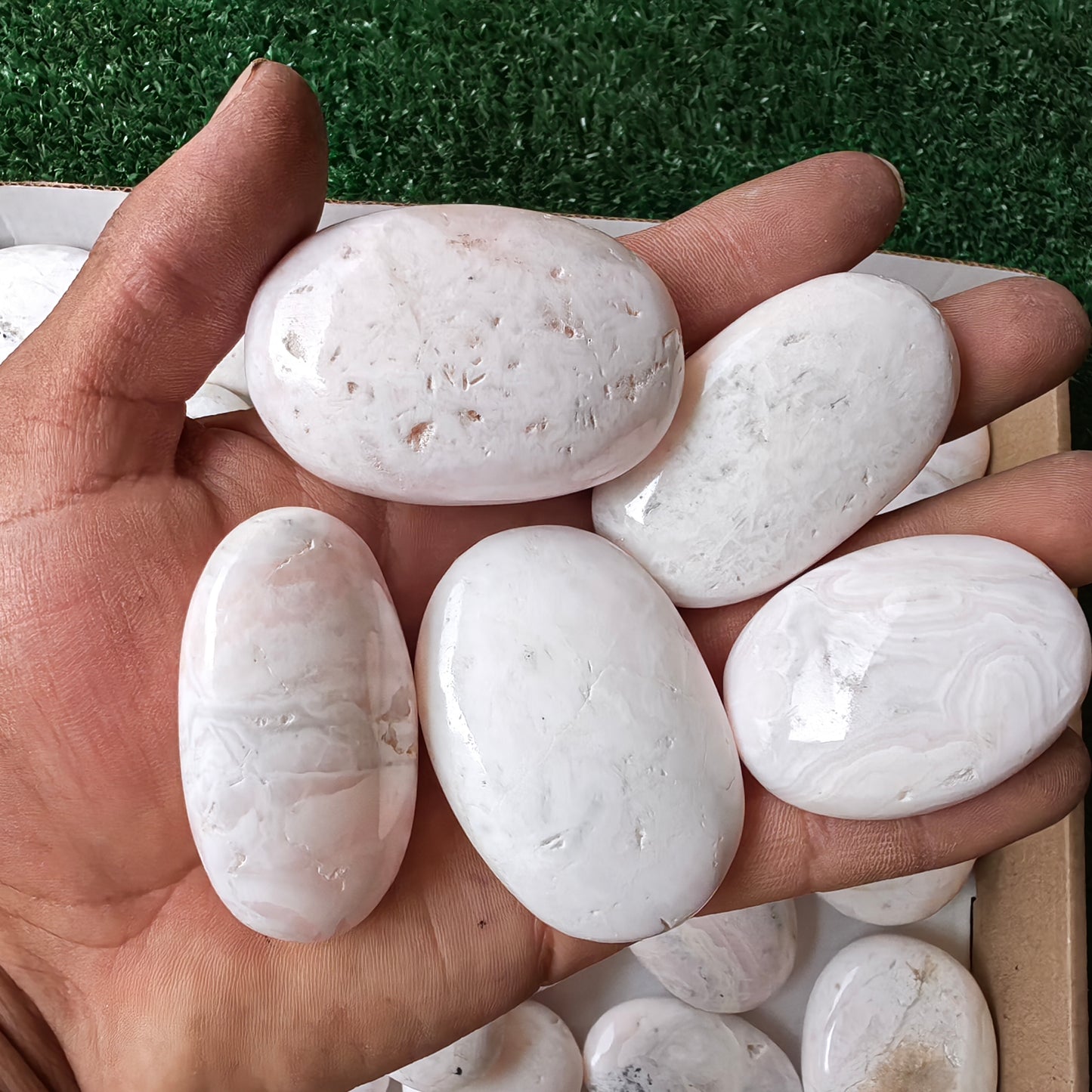 31 pc mangano calcite palms