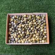 2 kg tumbled green serpentine