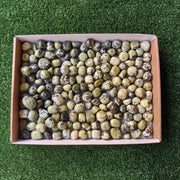 2 kg tumbled green serpentine