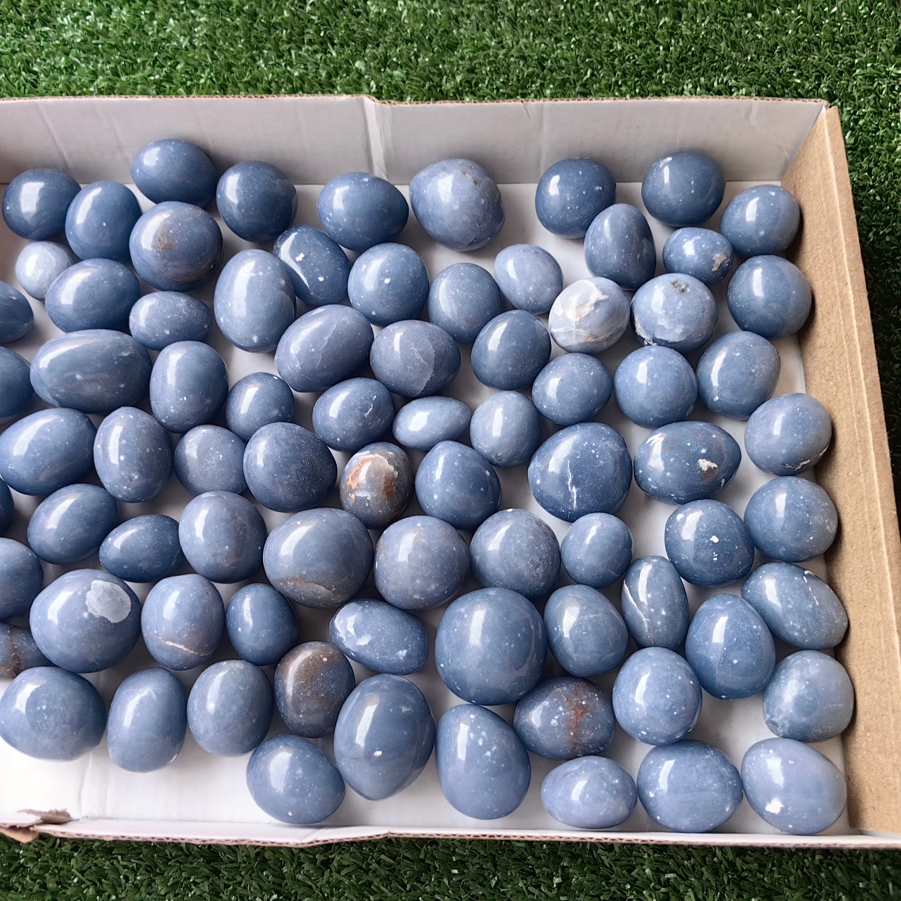 2 kg tumbled blue angelite