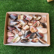 26 pc strawberry pink opal flames