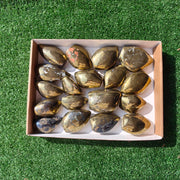 18 pc chalcopyrite free forms