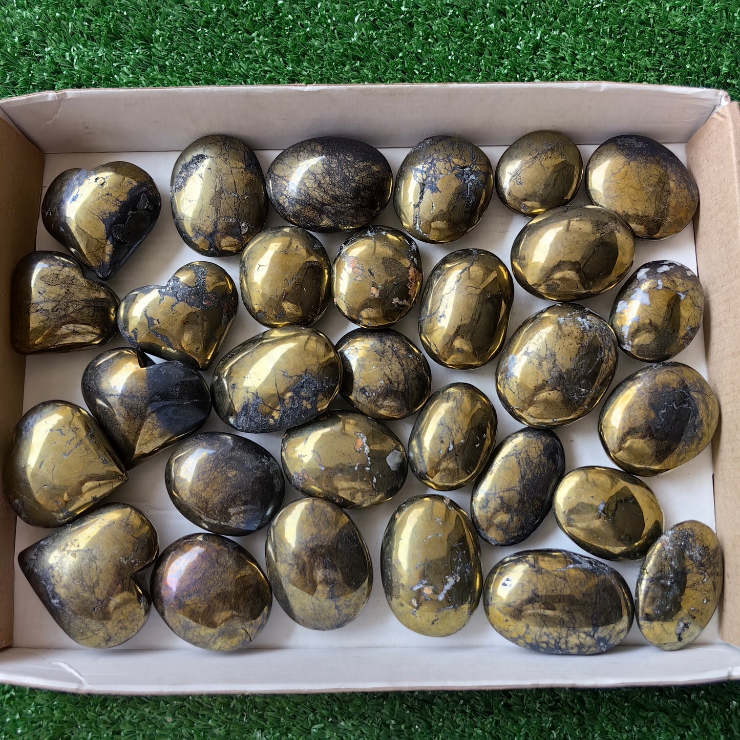 30 pc chalcopyrite with covellite hearts & palms